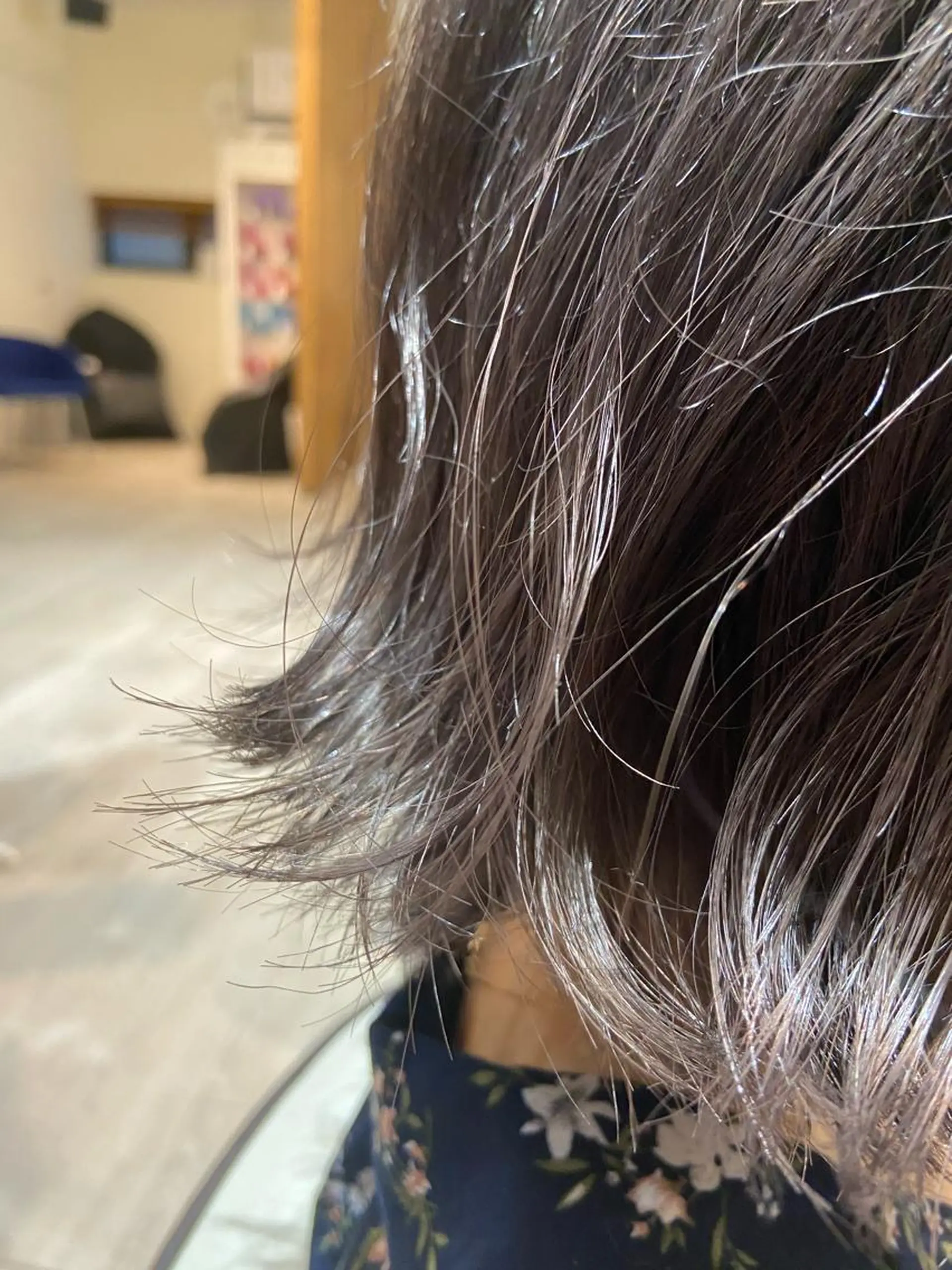 ショート カラー アッシュ アッシュグレー アッシュグレージュ ブリーチ グレージュ 札幌ブリーチカラー/ ダブルカラー/ドイのヘアスタイル