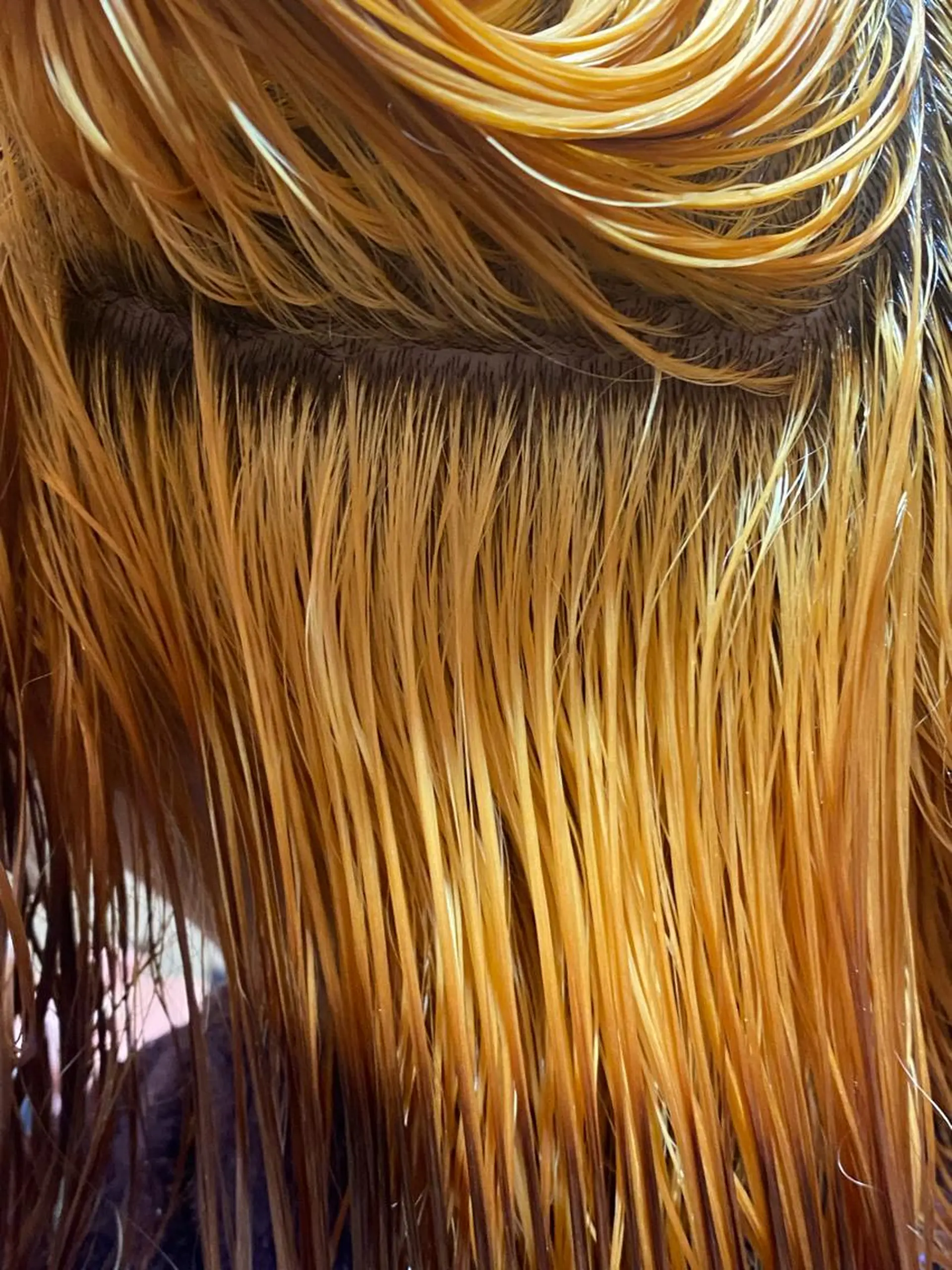 セミロング カラー ブリーチ NATSUKI😸 ‪✂︎‬南森町美容室のヘアスタイル