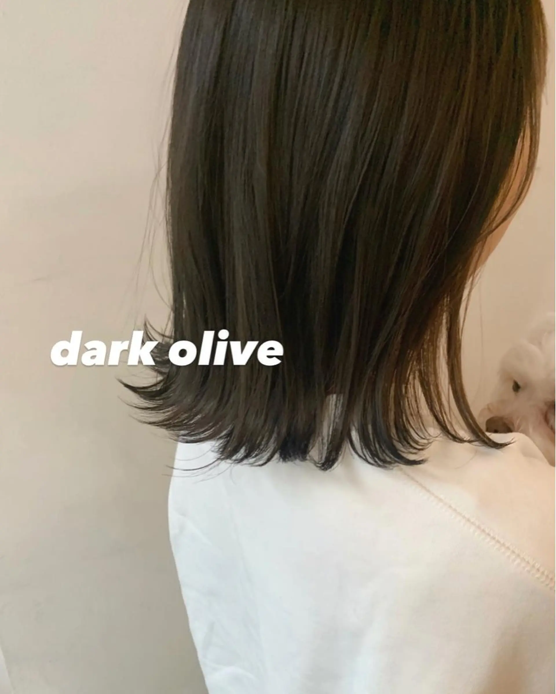 セミロング カラー オリーブカラー 🌟アレンジが似合う カラー🌟Rumiのヘアスタイル