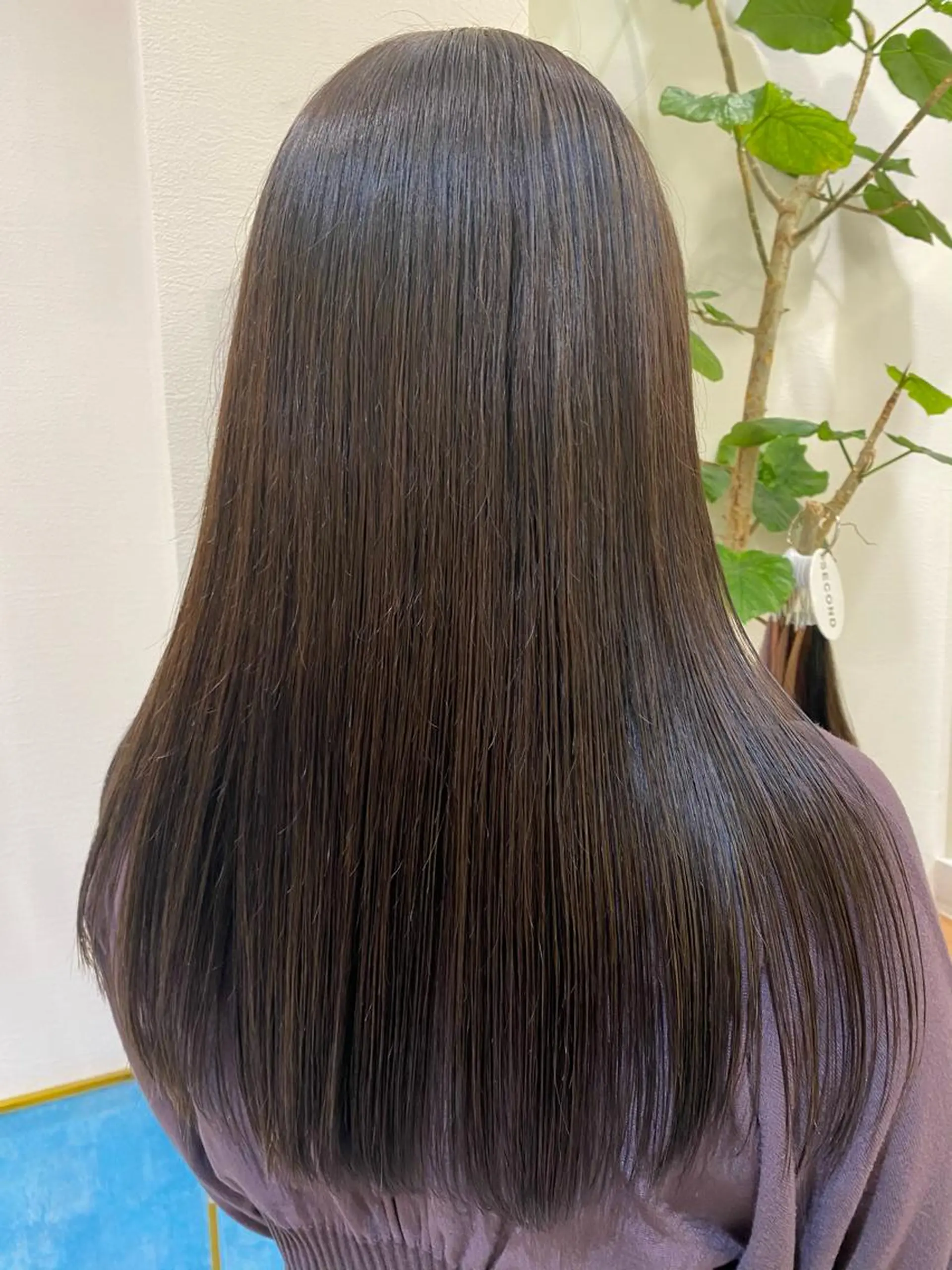 セミロング カラー ヘアカラー トリートメント 顔周り/ブリーチなし /縮毛矯正🫧伊勢のヘアスタイル