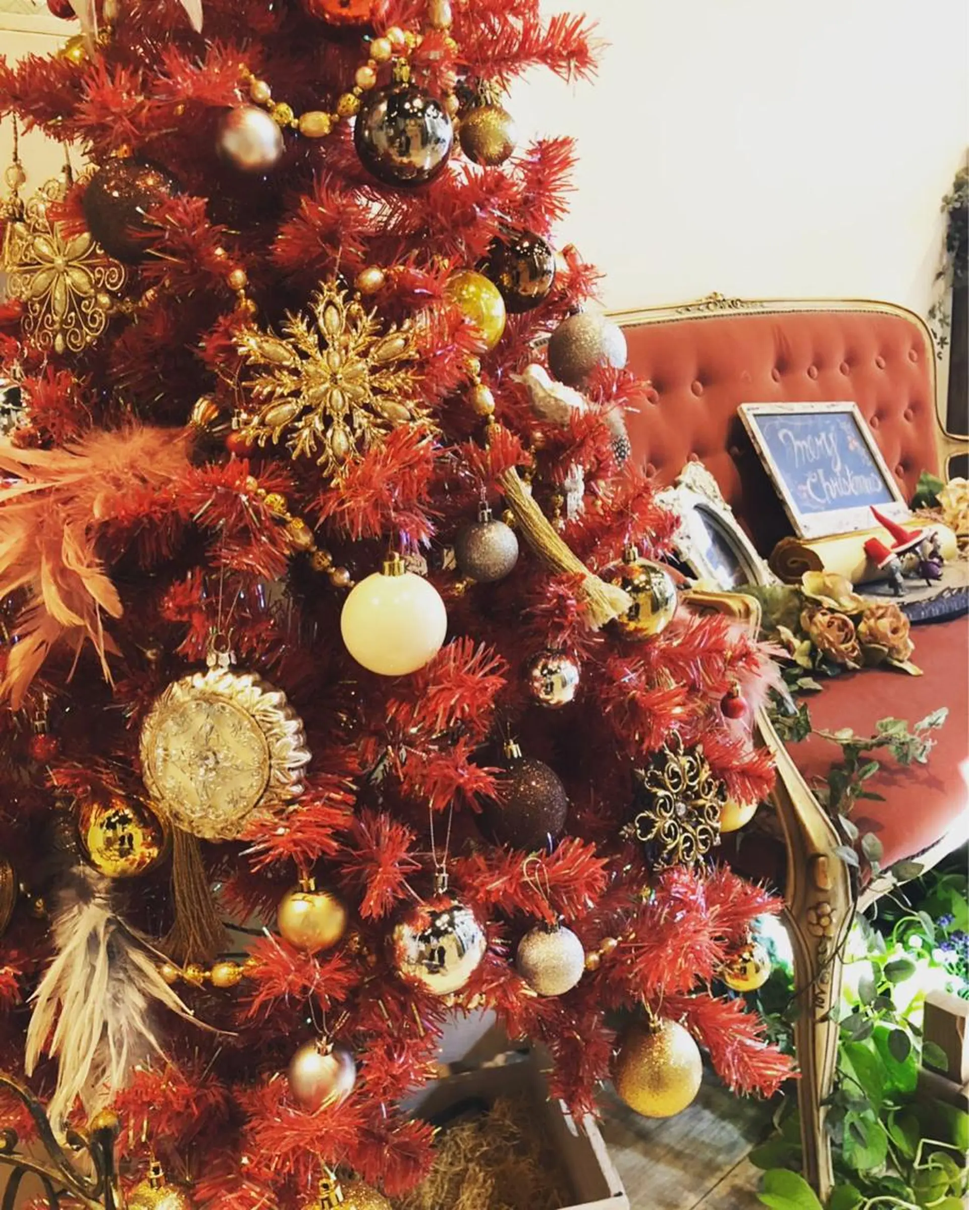 :::  gally :::のヘアスタイル