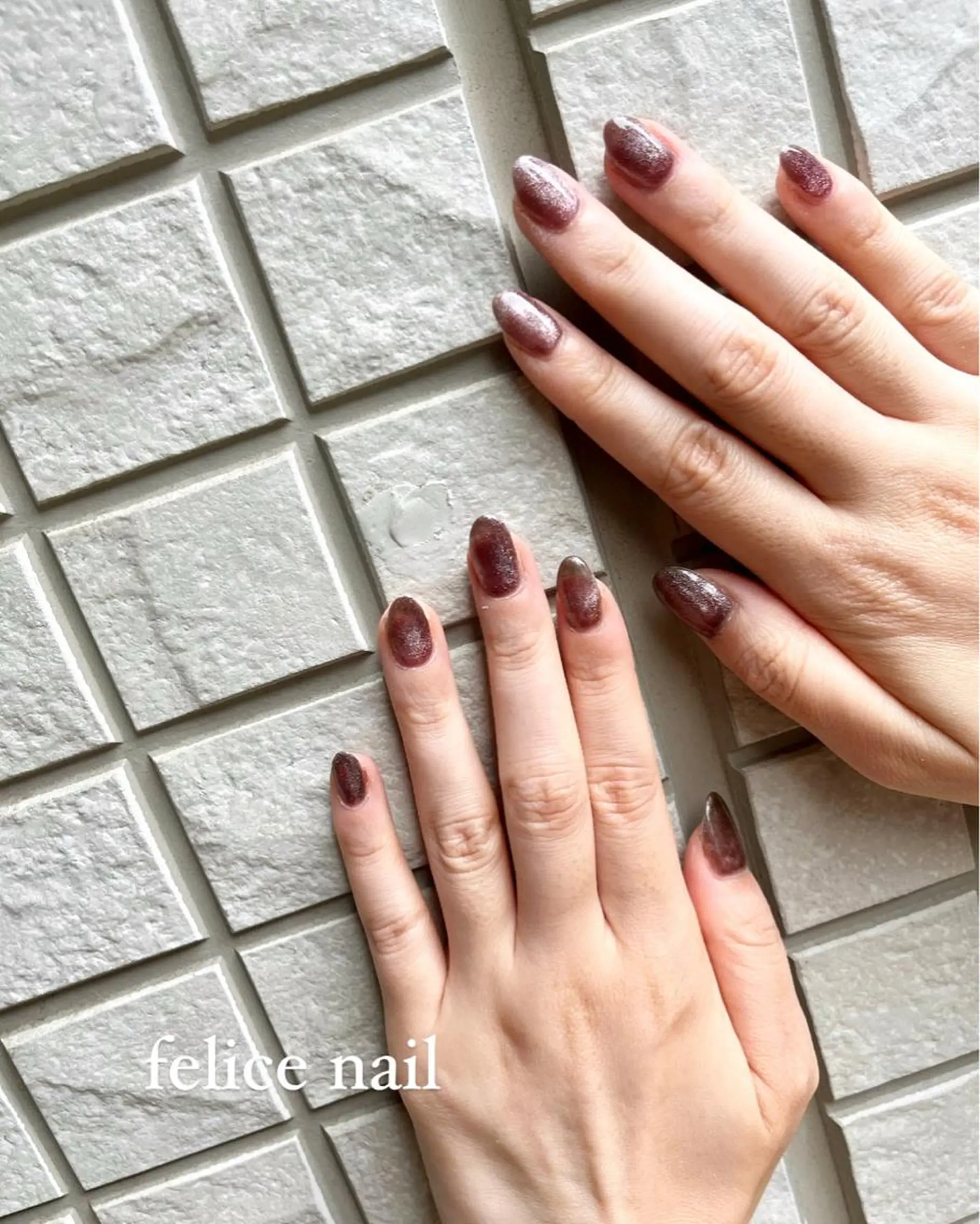 ネイル ブラウン マグネットネイル シルバー felice nailのネイルデザイン
