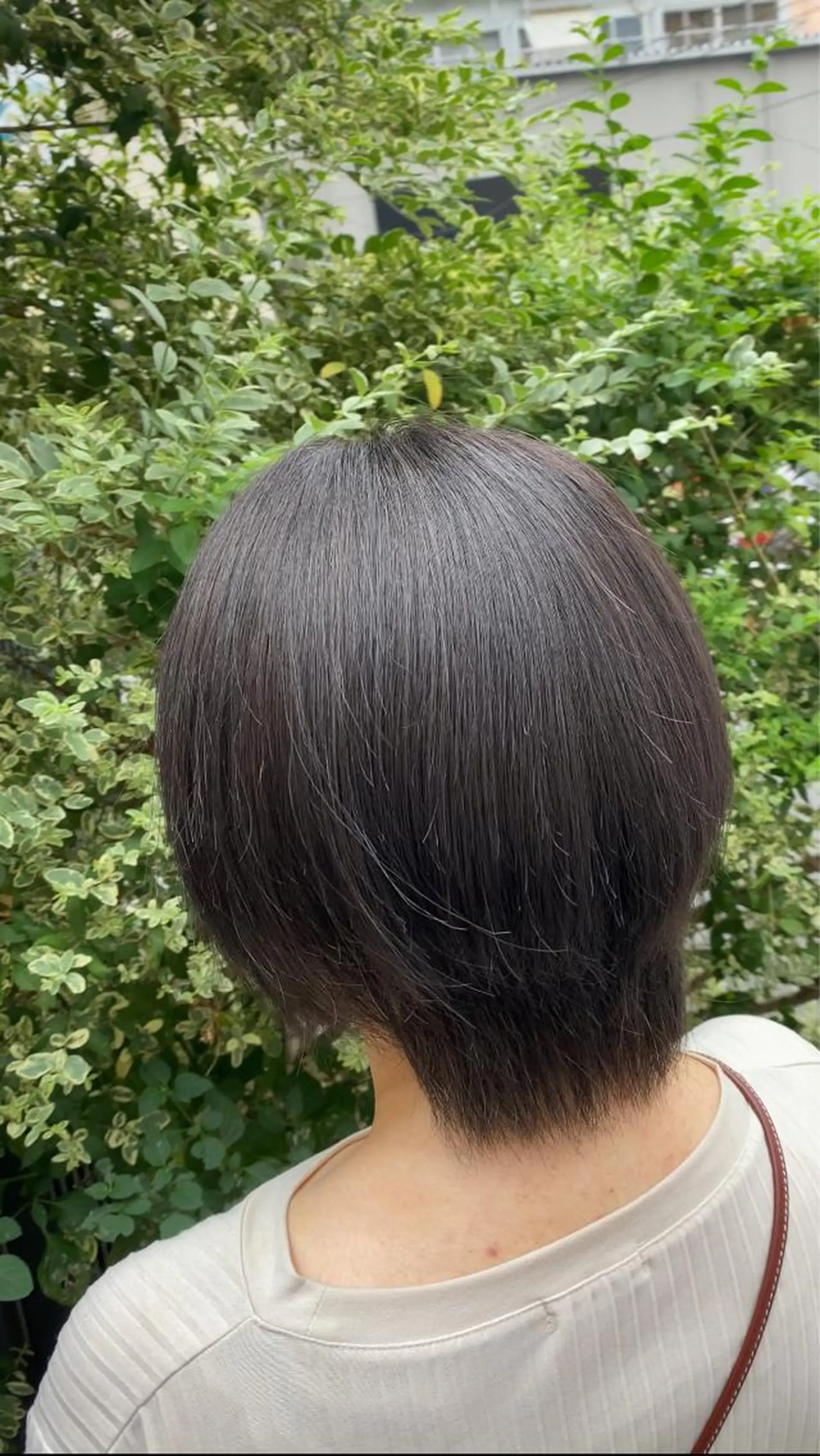 ショート 十条/カラー 「yuya」のヘアスタイル