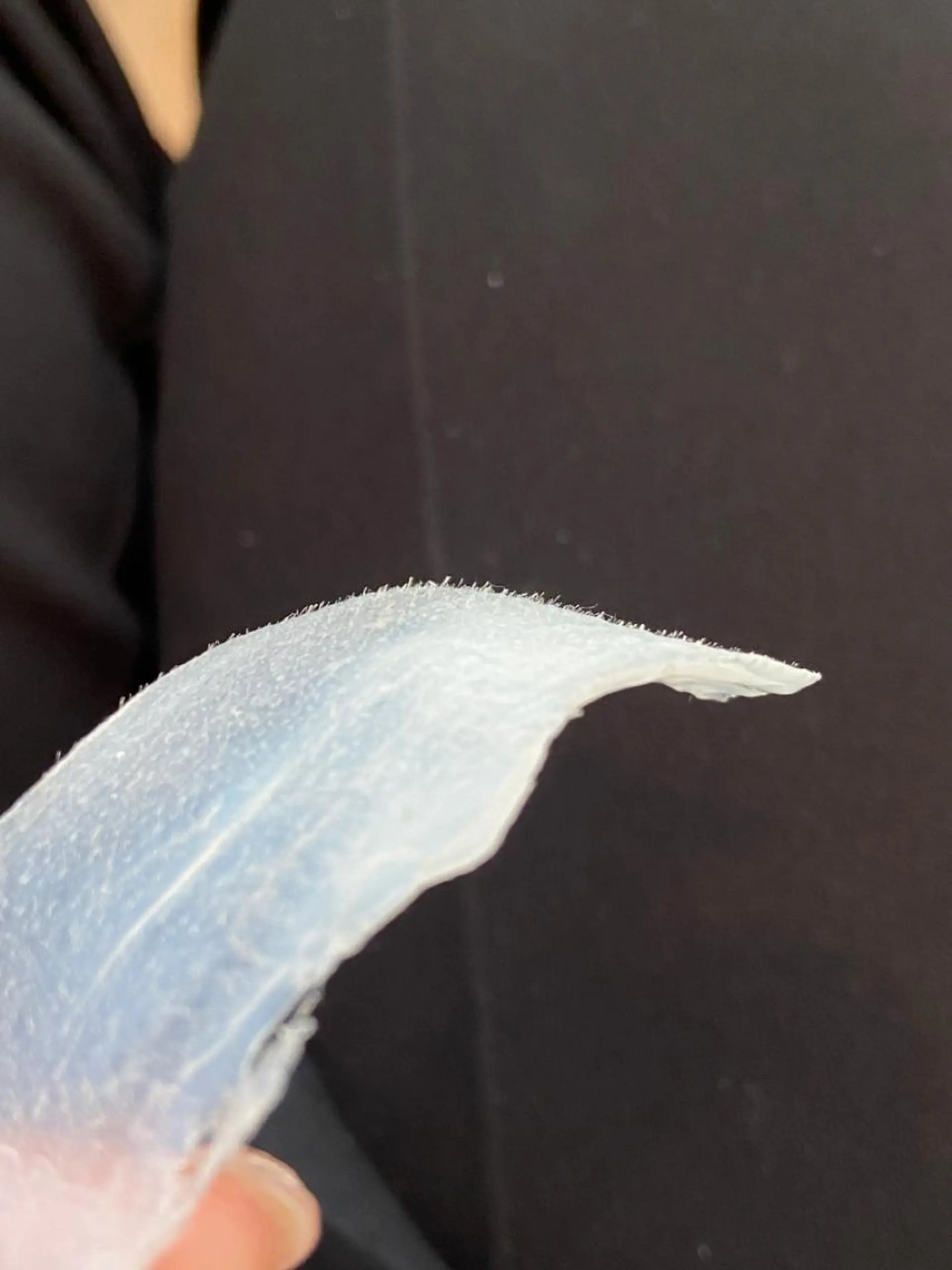 ワックス脱毛 SHAPYパラジェル フィルイン対応 うみのマツエク・マツパデザイン