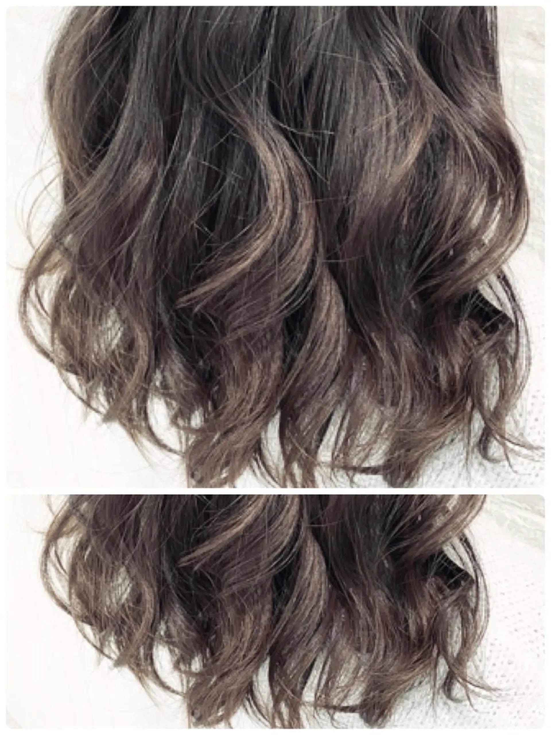 セミロング 白井 秀太郎のヘアスタイル