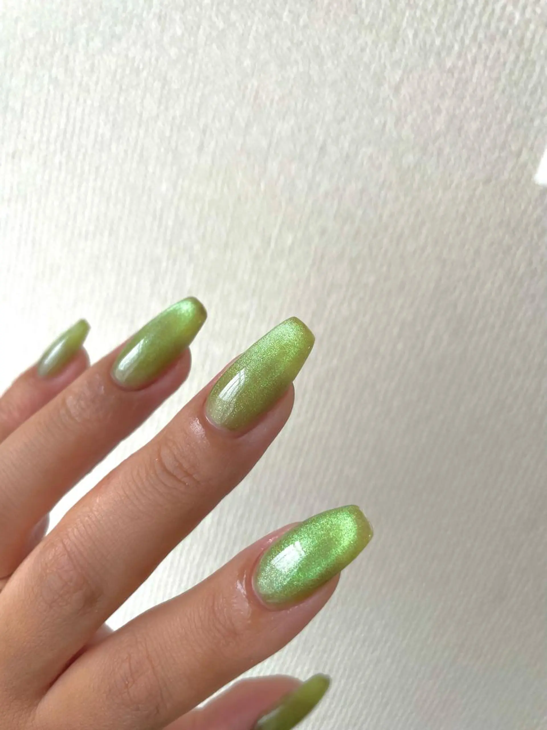 ネイル マグネットネイル ニュアンスネイル Ri-e's nailのネイルデザイン