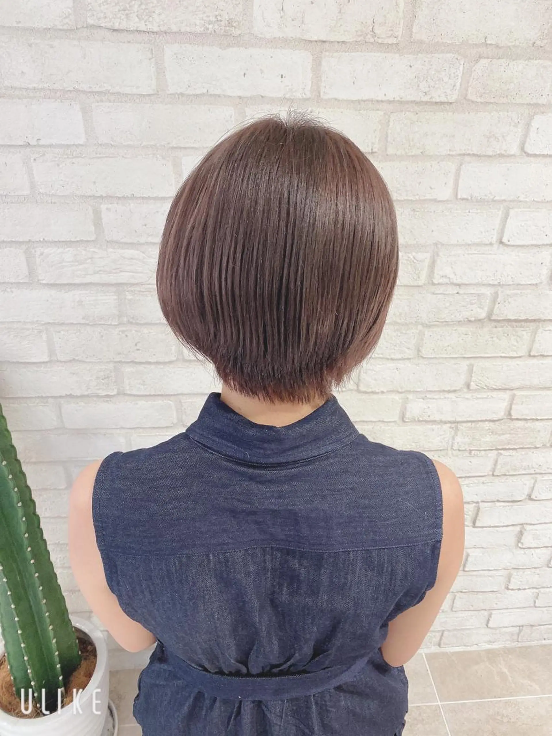 ショート カラー ショートヘア カット 縮毛矯正 トリートメント 田中 アキオのヘアスタイル