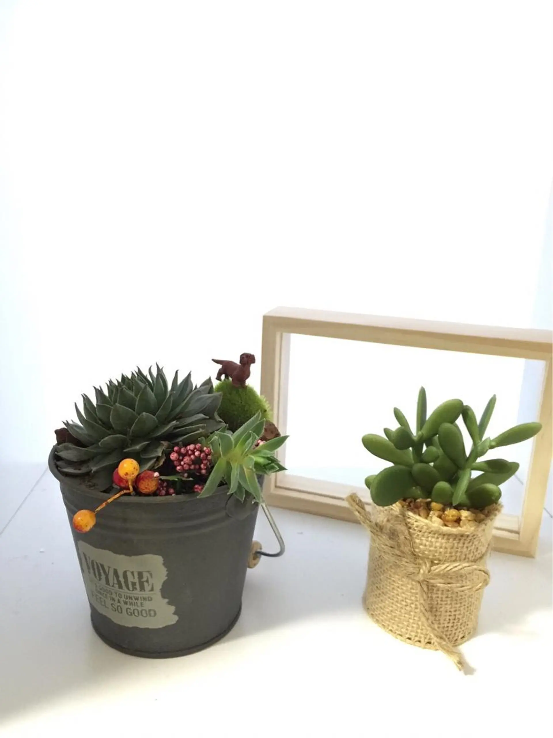 Shapely シェイプリーのマツエク・マツパデザイン