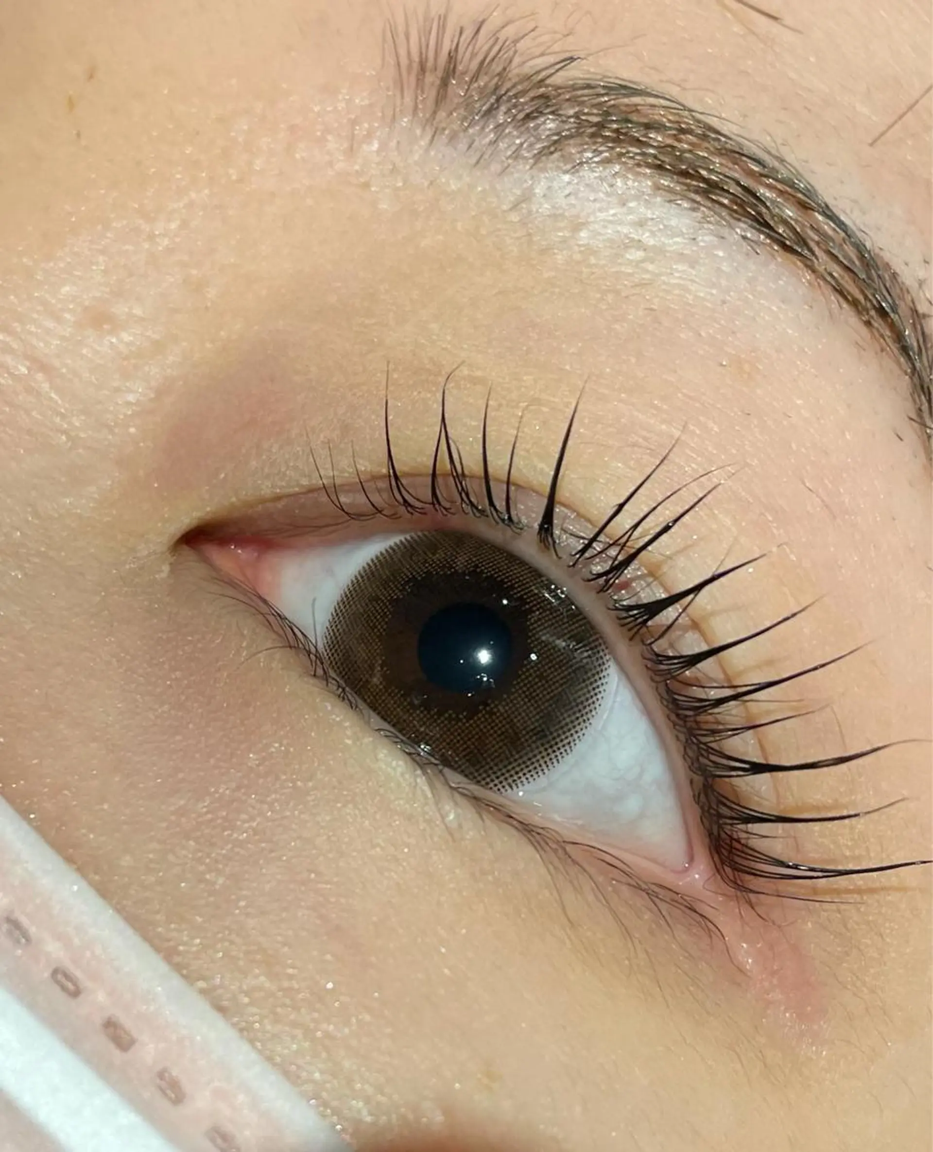 マツエク・マツパ 🦋MODE K's ema 🦋の眉毛・アイブロウイメージ