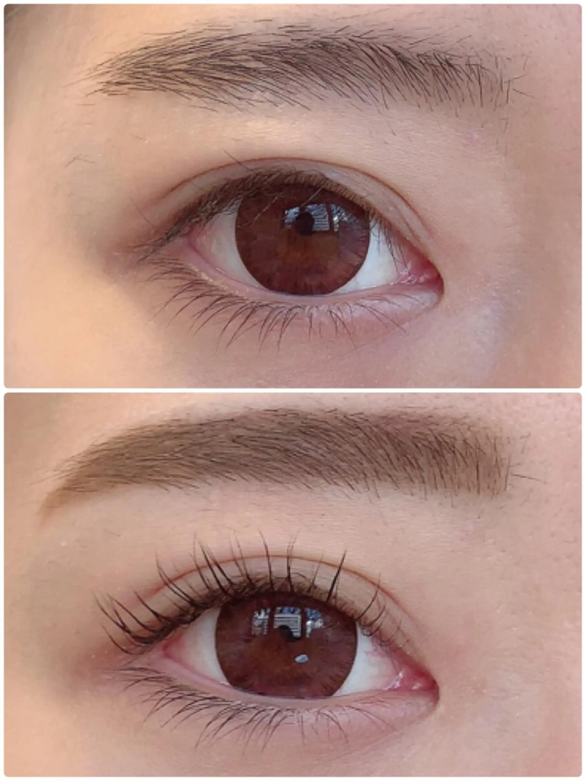 マツエク・マツパ Royal eyelashのマツエク・マツパデザイン