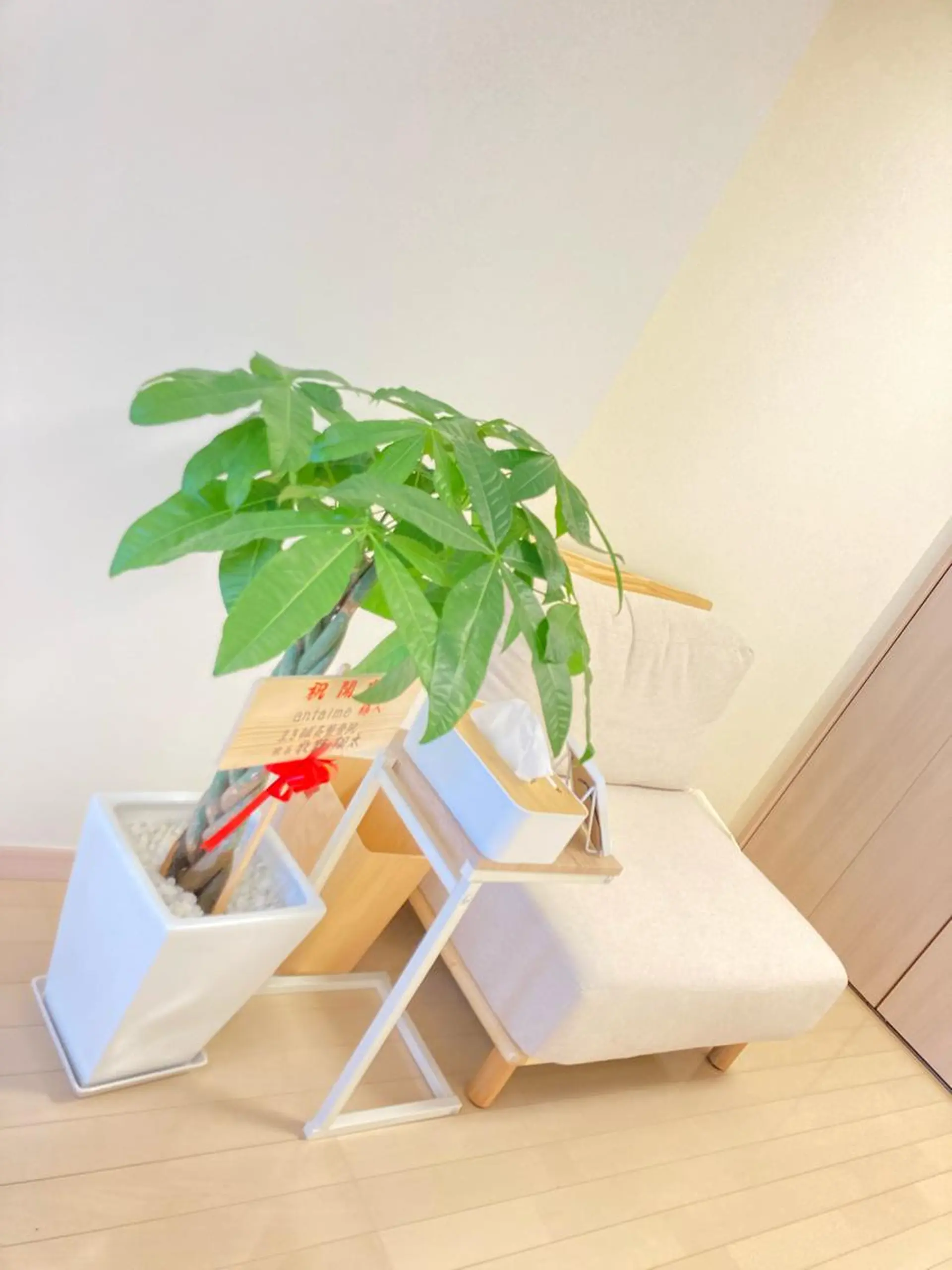 学生向けケア| 肩こり・姿勢・小顔✨のエステ・リラクイメージ