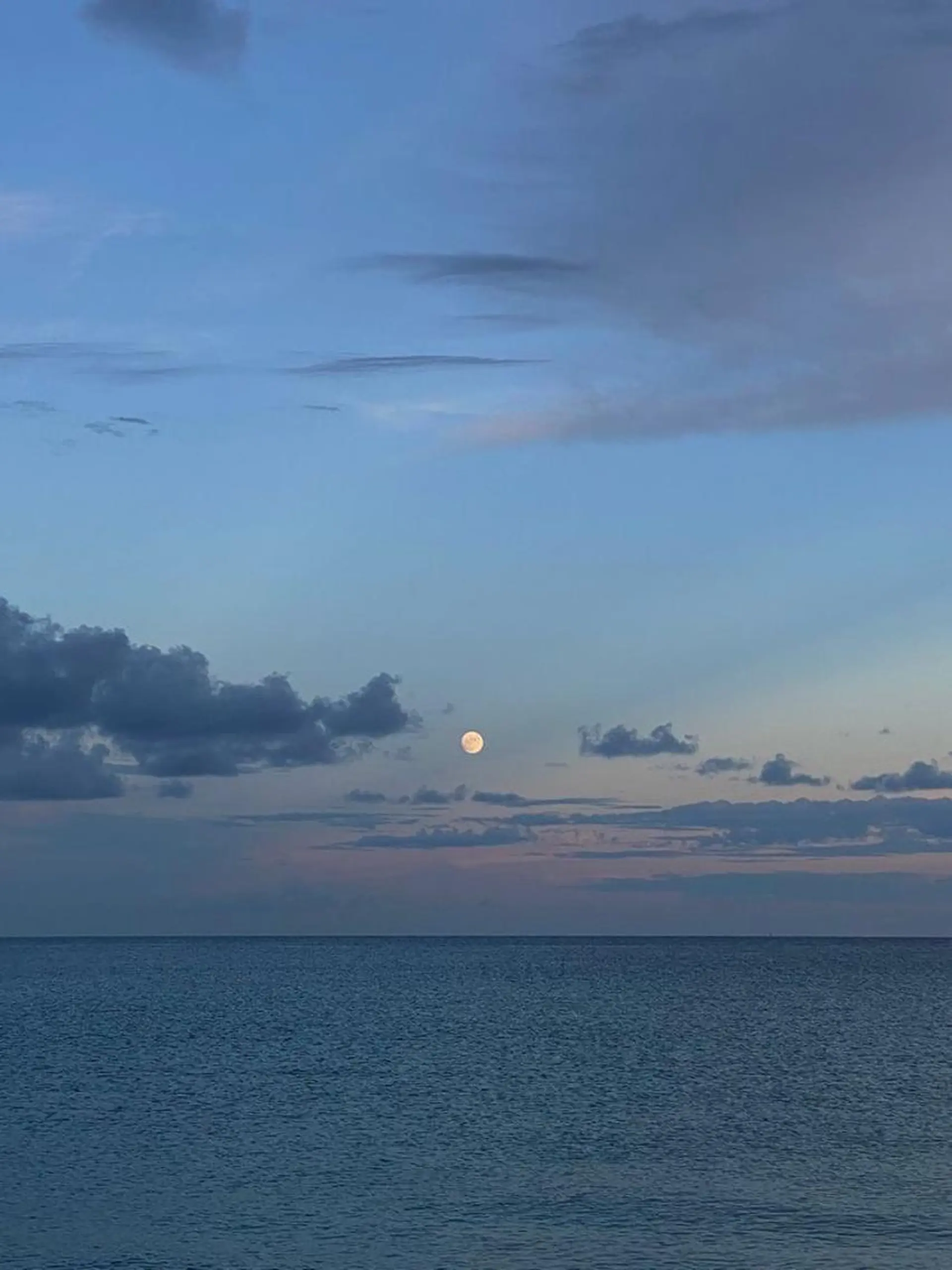 ∴Sanae. ∴ トータルビューティーのマツエク・マツパデザイン