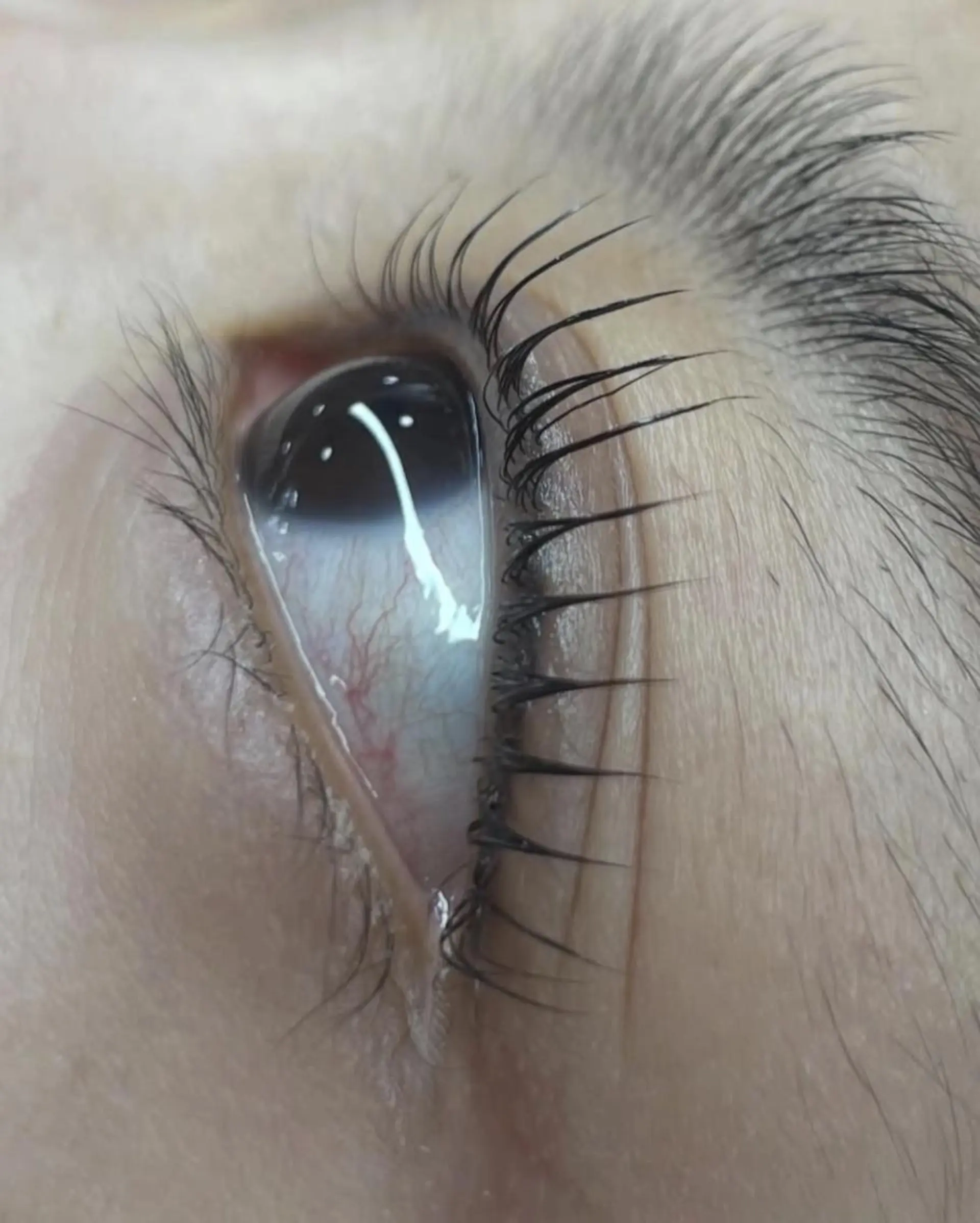 マツエク・マツパ エミ 💜のマツエク・マツパデザイン