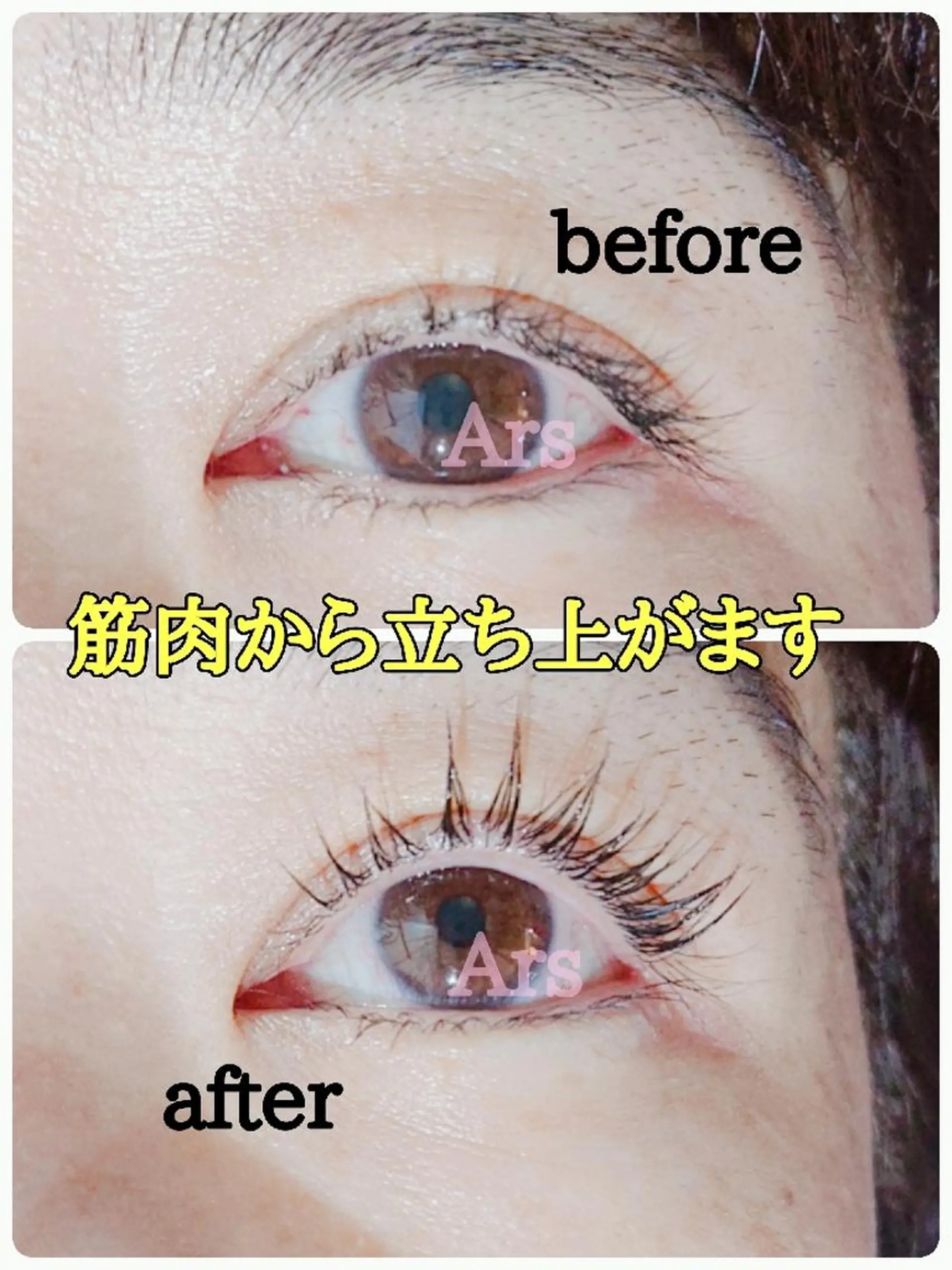 マツエク・マツパ アイリッドアップパーマ Ars      (ｱﾙｽ)のマツエク・マツパデザイン