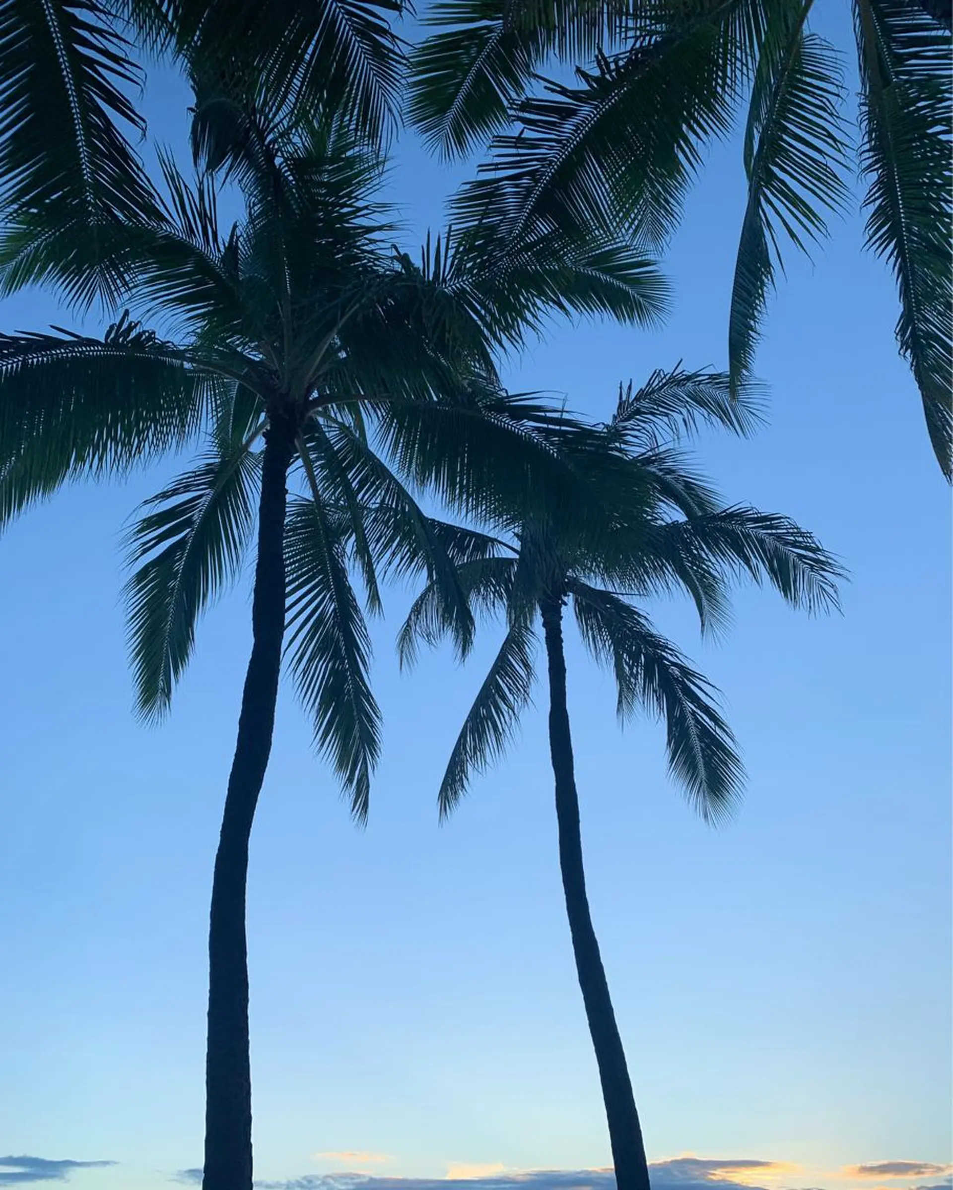 𝐘𝐎𝐒𝐇𝐈 𝐌𝐈🌞🏝のマツエク・マツパデザイン