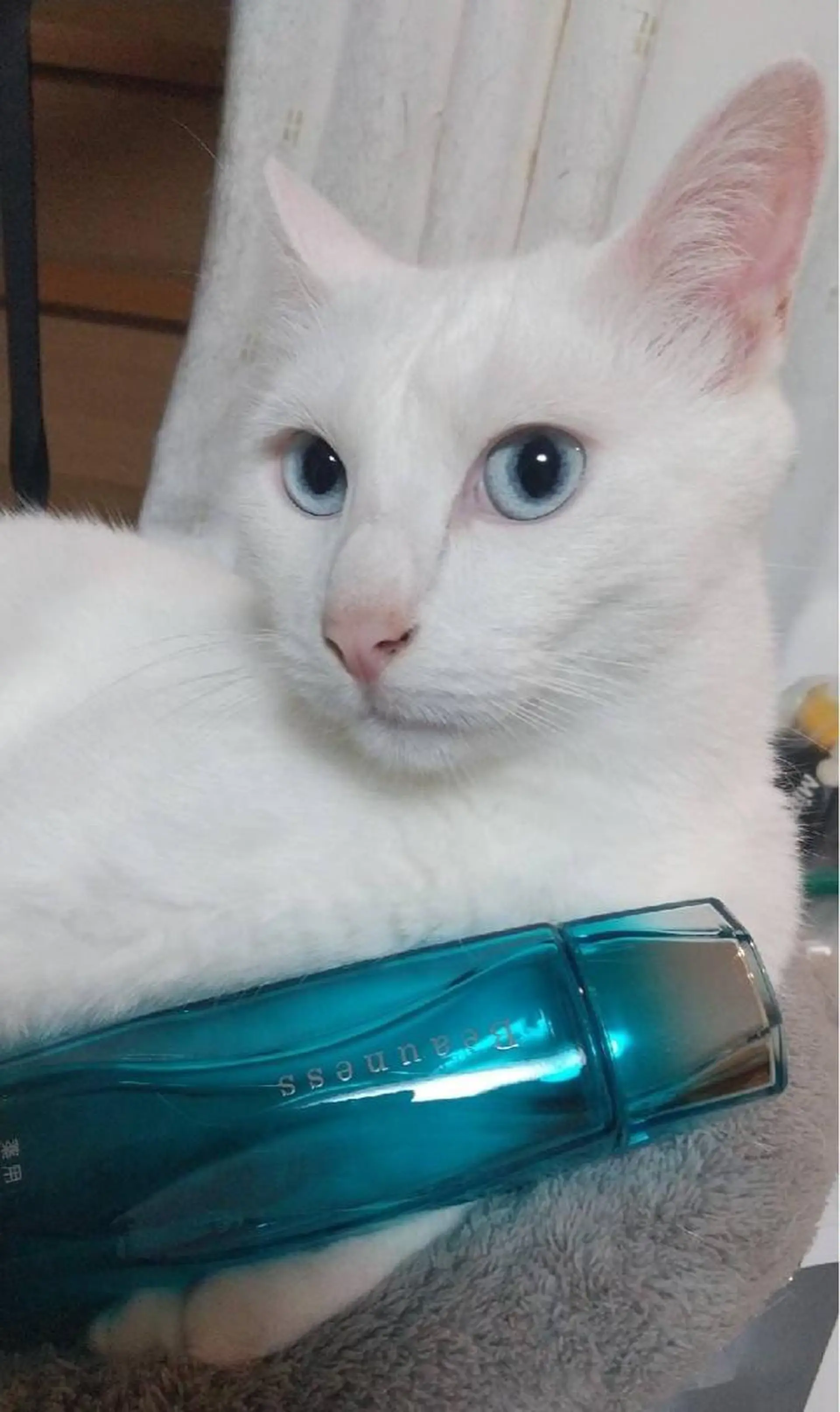 メナードフェイシャル サロン中田南店のエステ・リラクイメージ