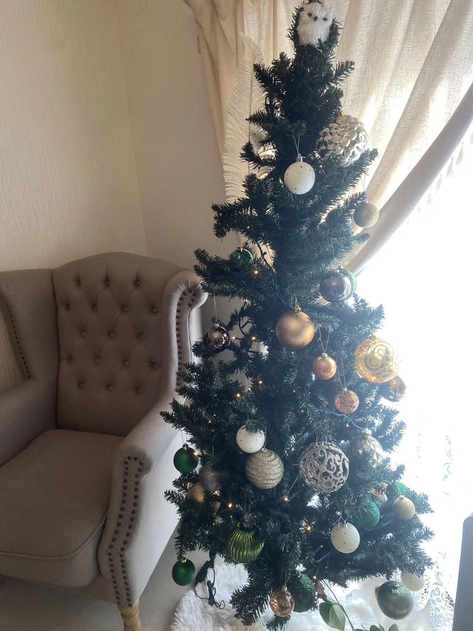 鈴木 愛花の眉毛・アイブロウイメージ