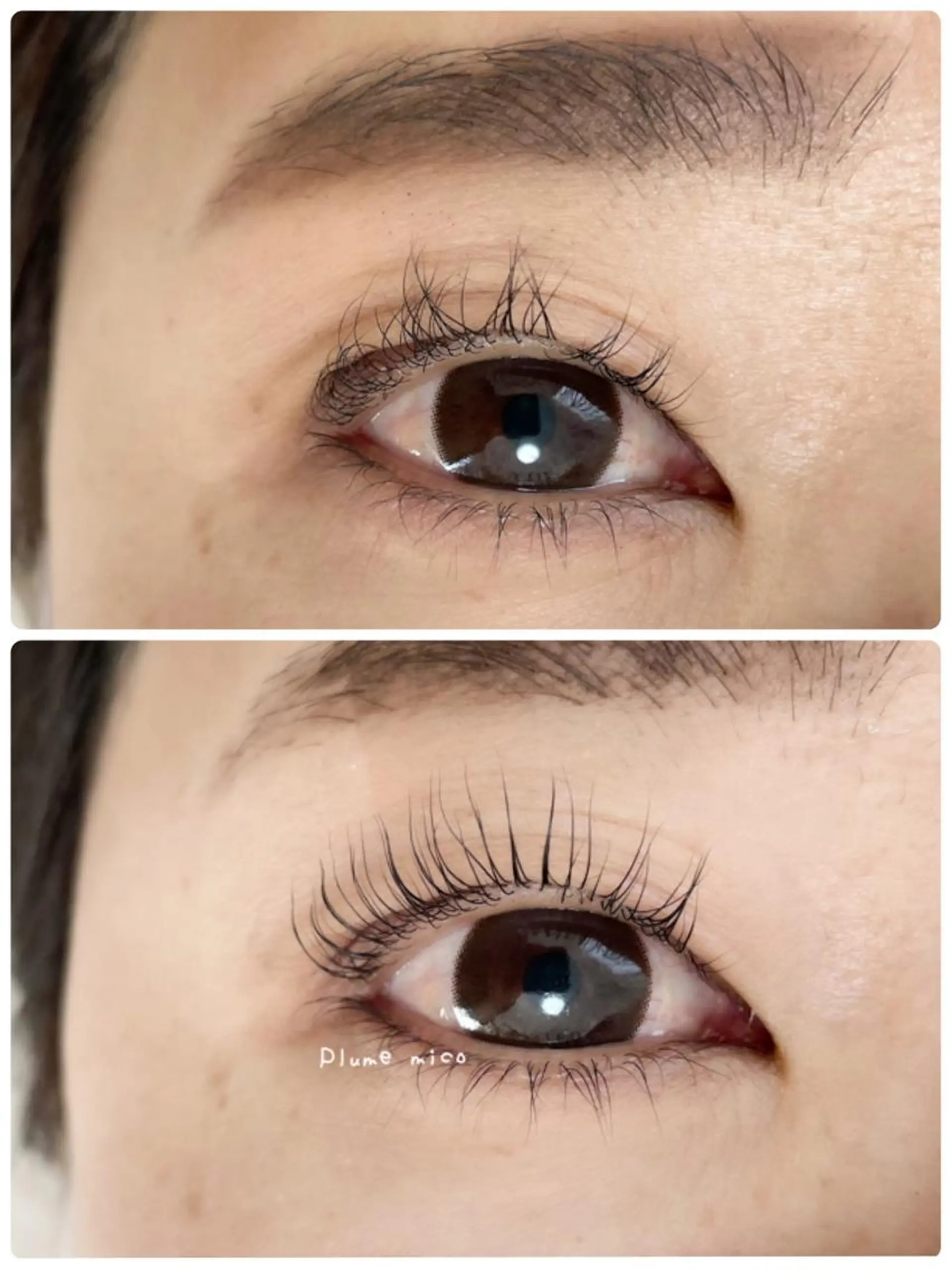 マツエク・マツパ マツパ Plume micoのマツエク・マツパデザイン