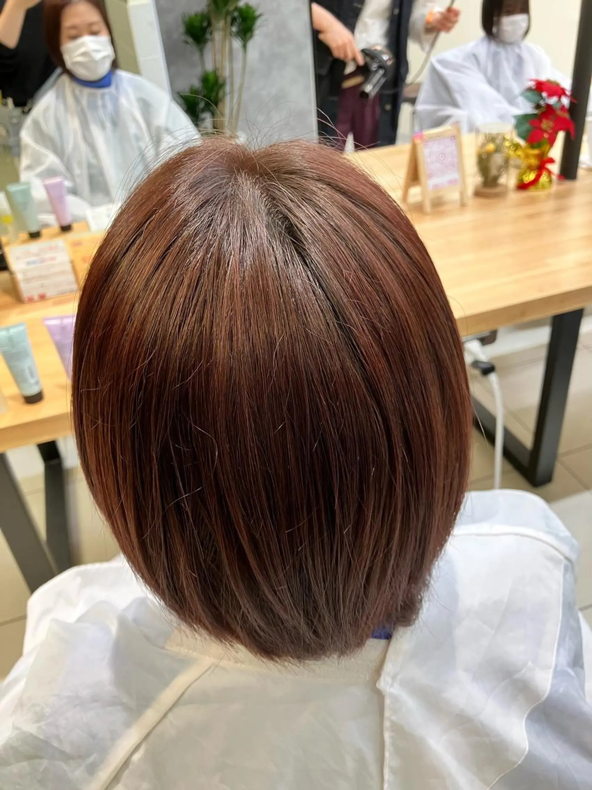 ショート カラー 🦔Laulu 菅原綾乃のヘアスタイル