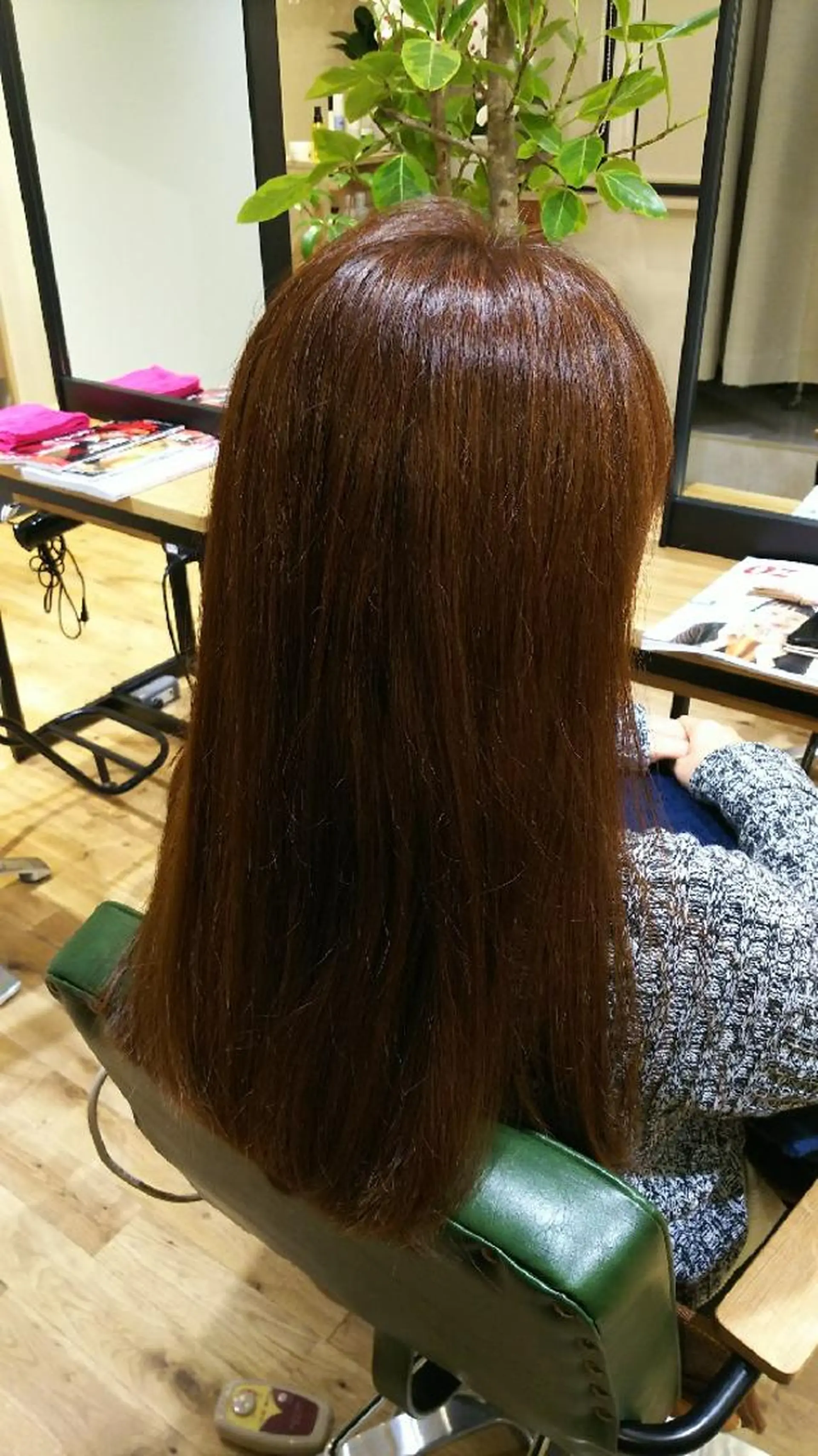 ロング カラー 🌜LaLa🦎   ジパング🌛のヘアスタイル