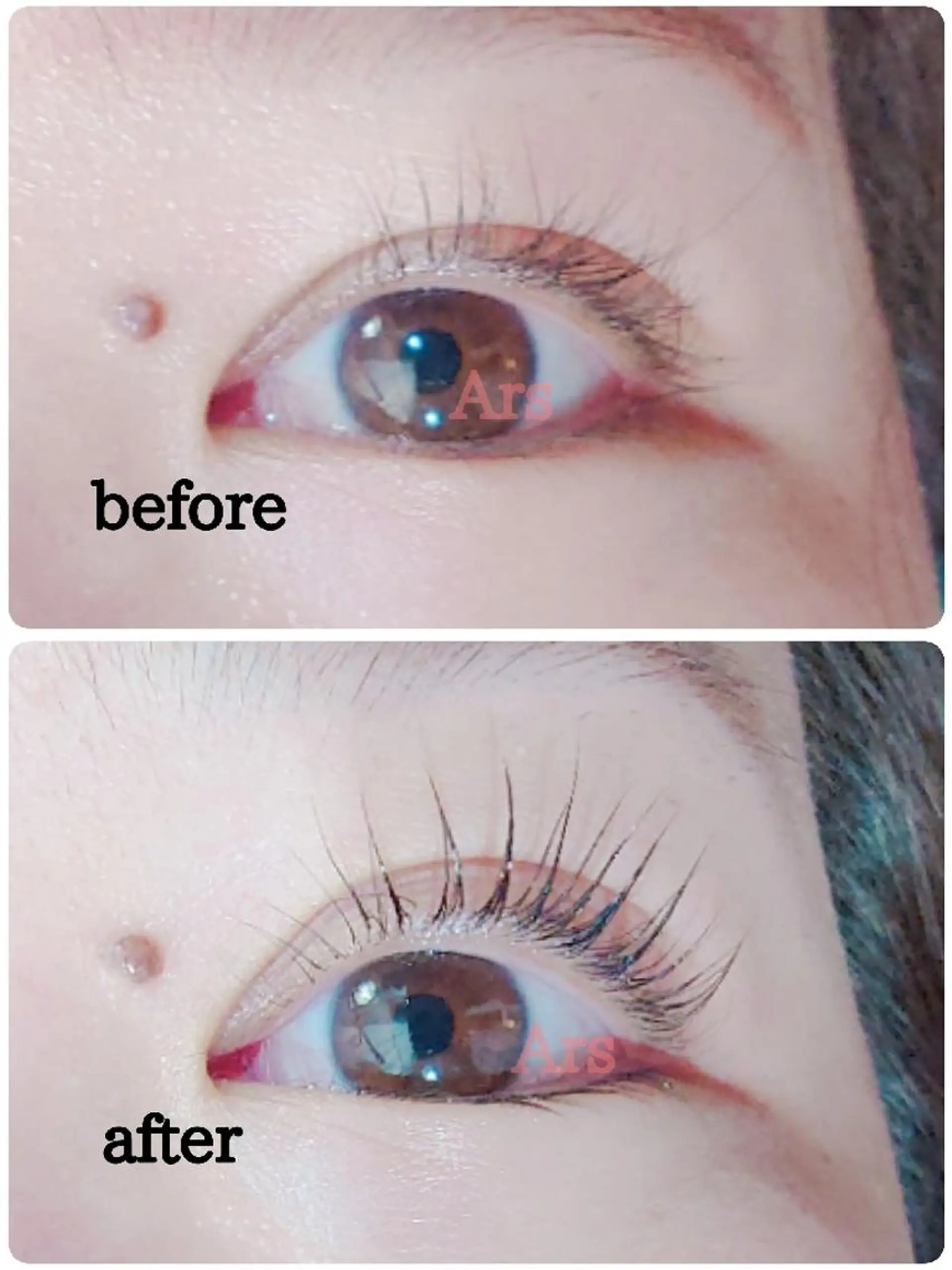 マツエク・マツパ アイリッドアップパーマ Ars      (ｱﾙｽ)のマツエク・マツパデザイン