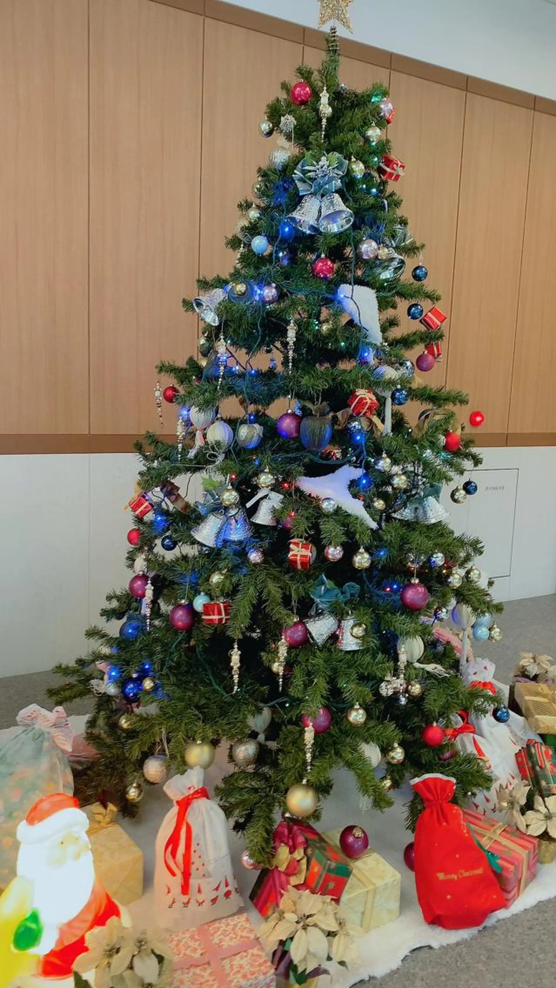 マツエク・マツパ 神山 ビューティー・アイのマツエク・マツパデザイン