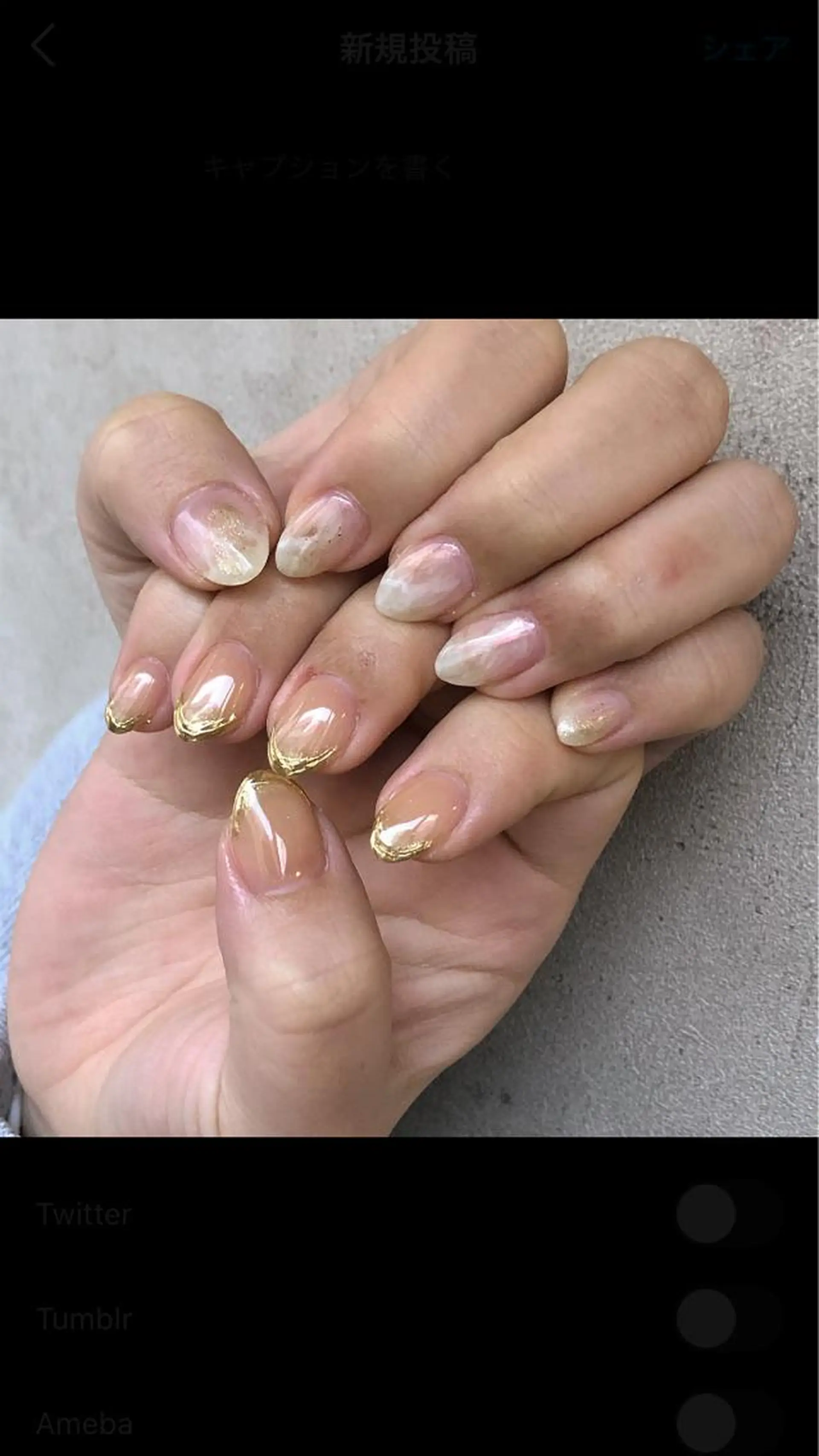 ネイル ミラーネイル 持ち込み ニュアンスネイル .Etel atelier.のネイルデザイン