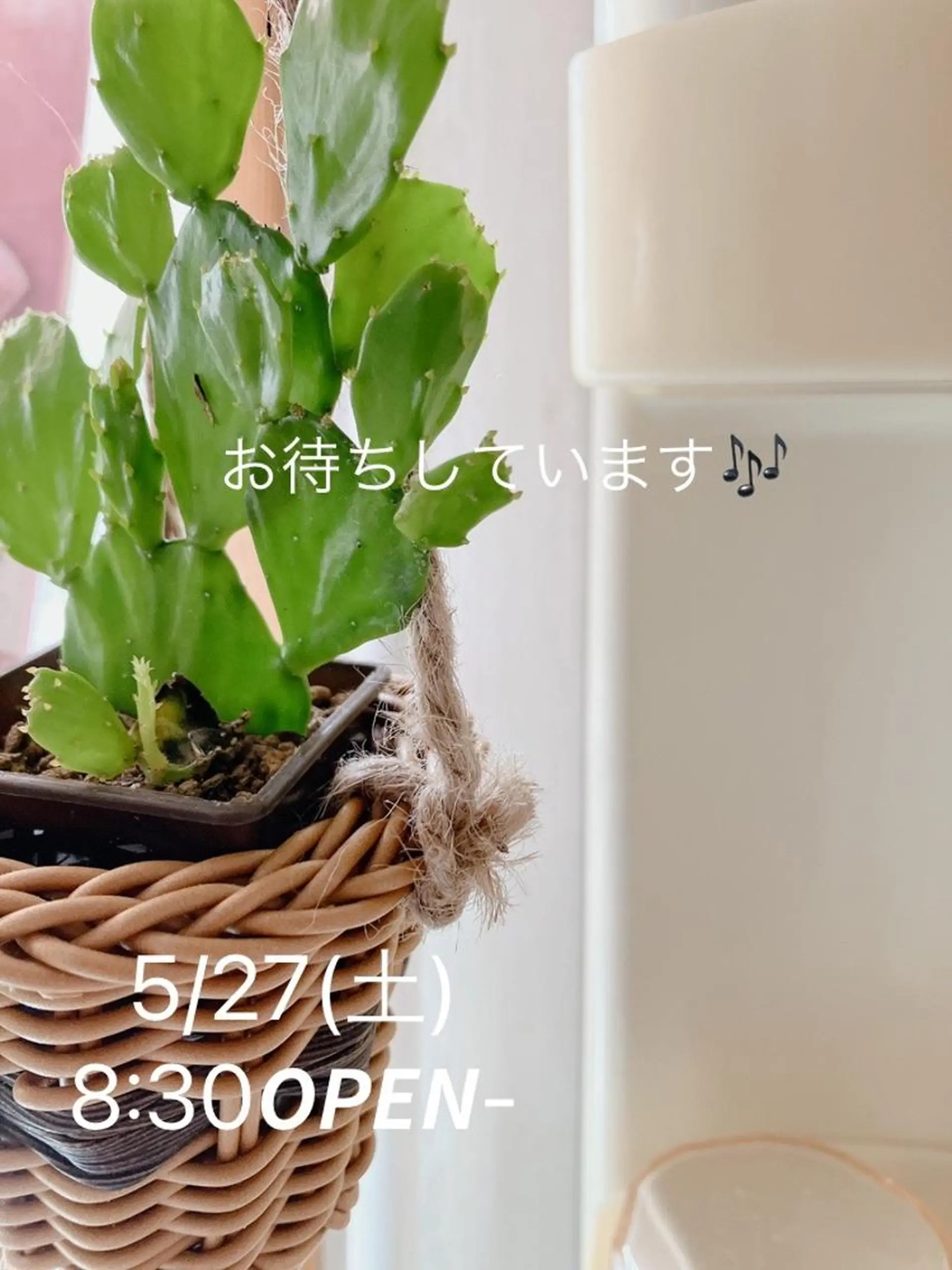 メナード熊本 嘉島のその他イメージ