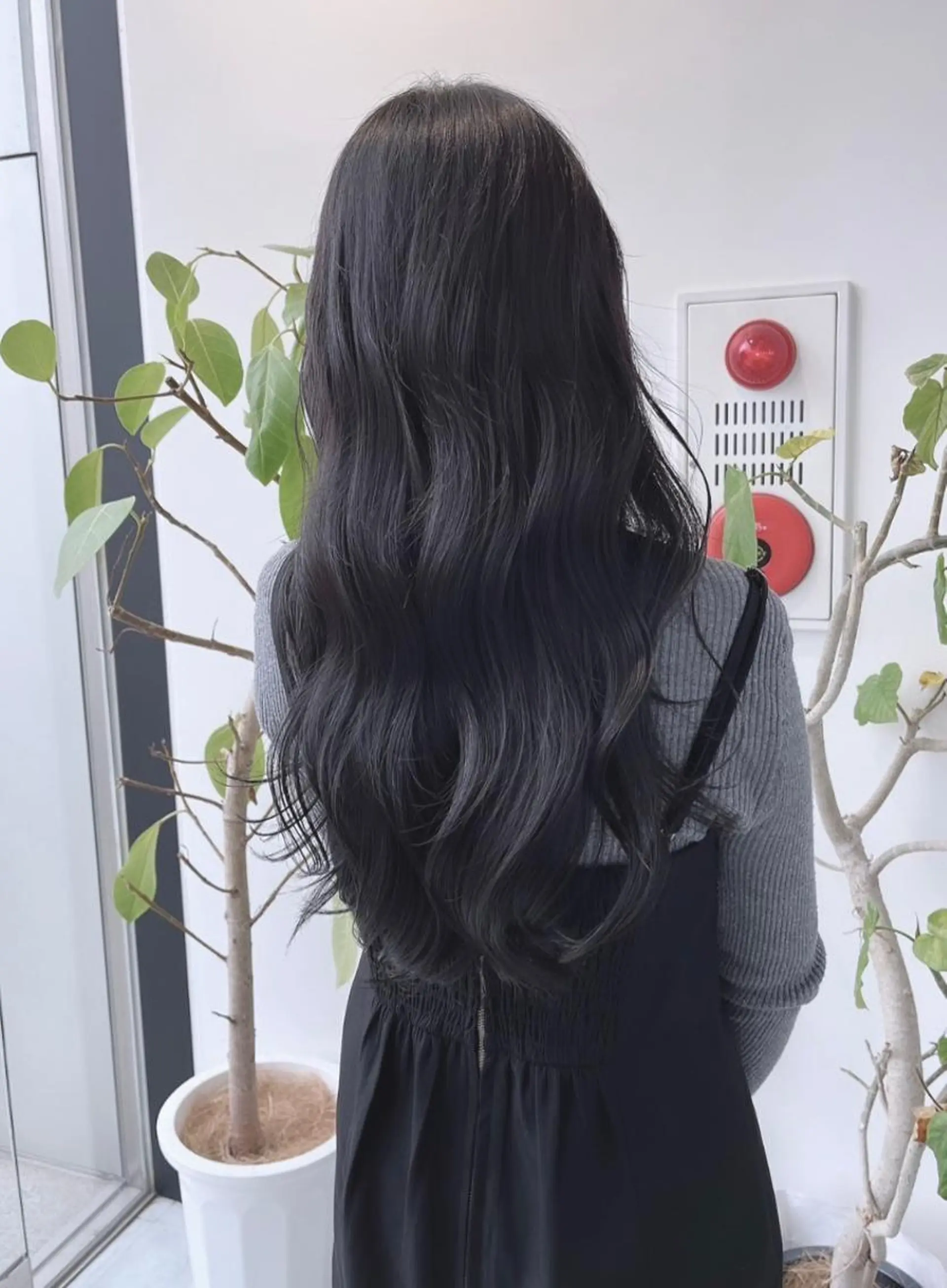 セミロング カット ヘアカラー トリートメント 🌫️大人韓国ヘア 🌫️naoyaのヘアスタイル