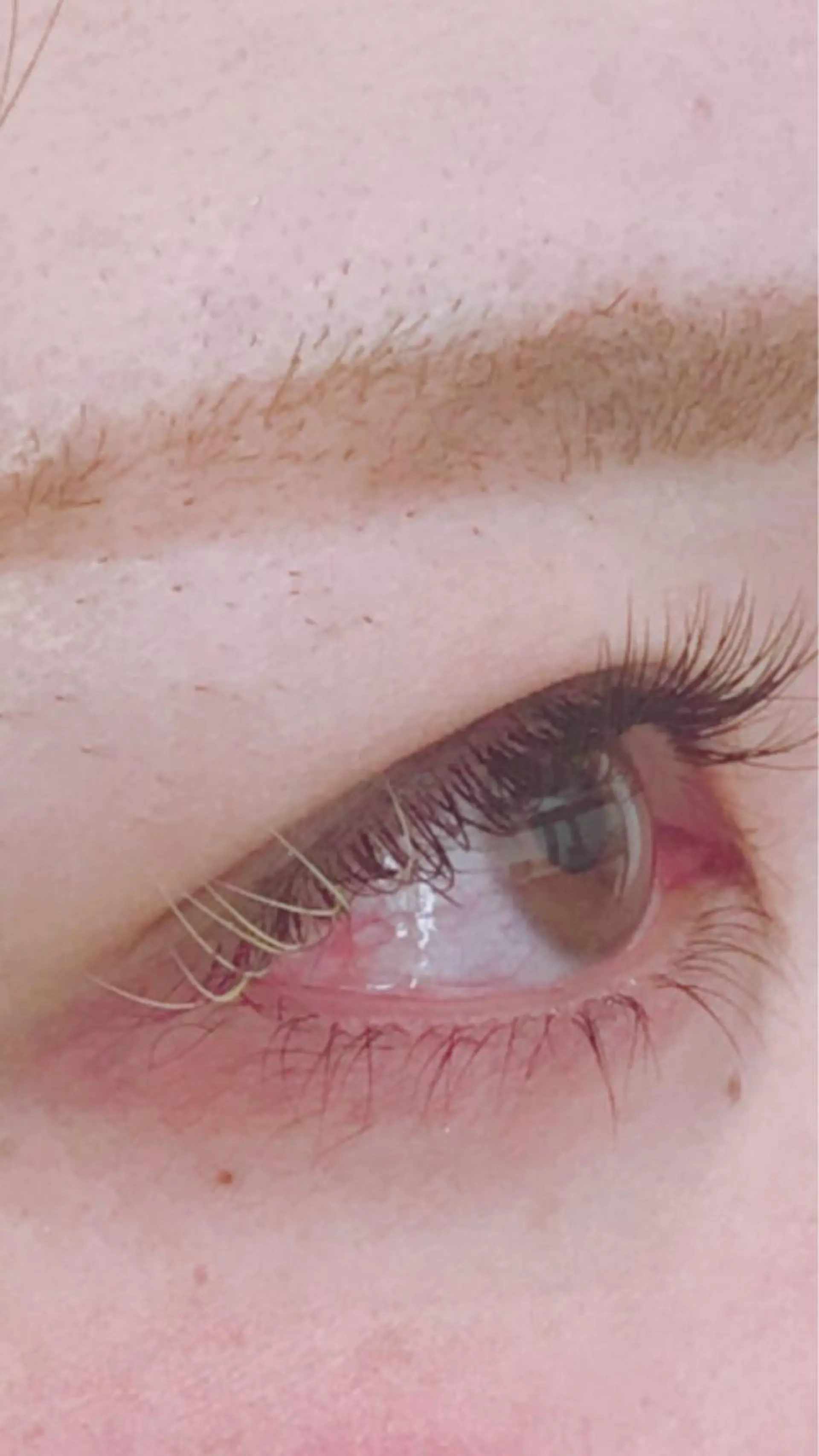 マツエク・マツパ Luana所属・高橋 都のマツエク・マツパデザイン