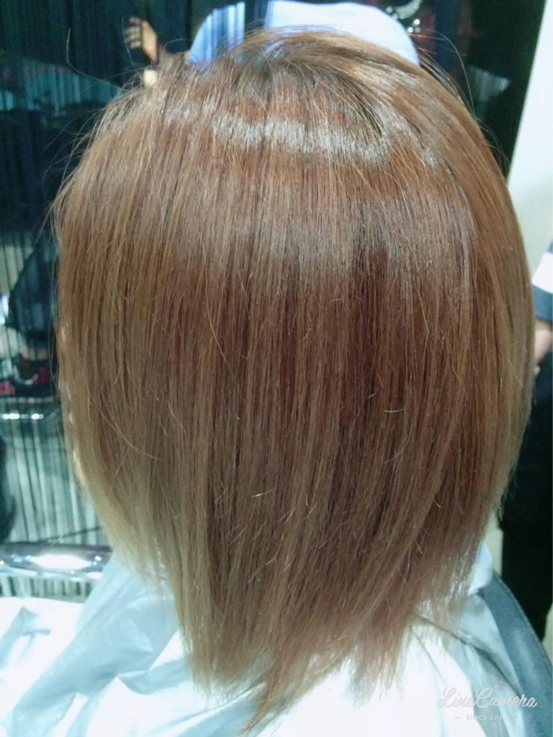 ショート ミディアム カラー SUNNY GRACEのヘアスタイル