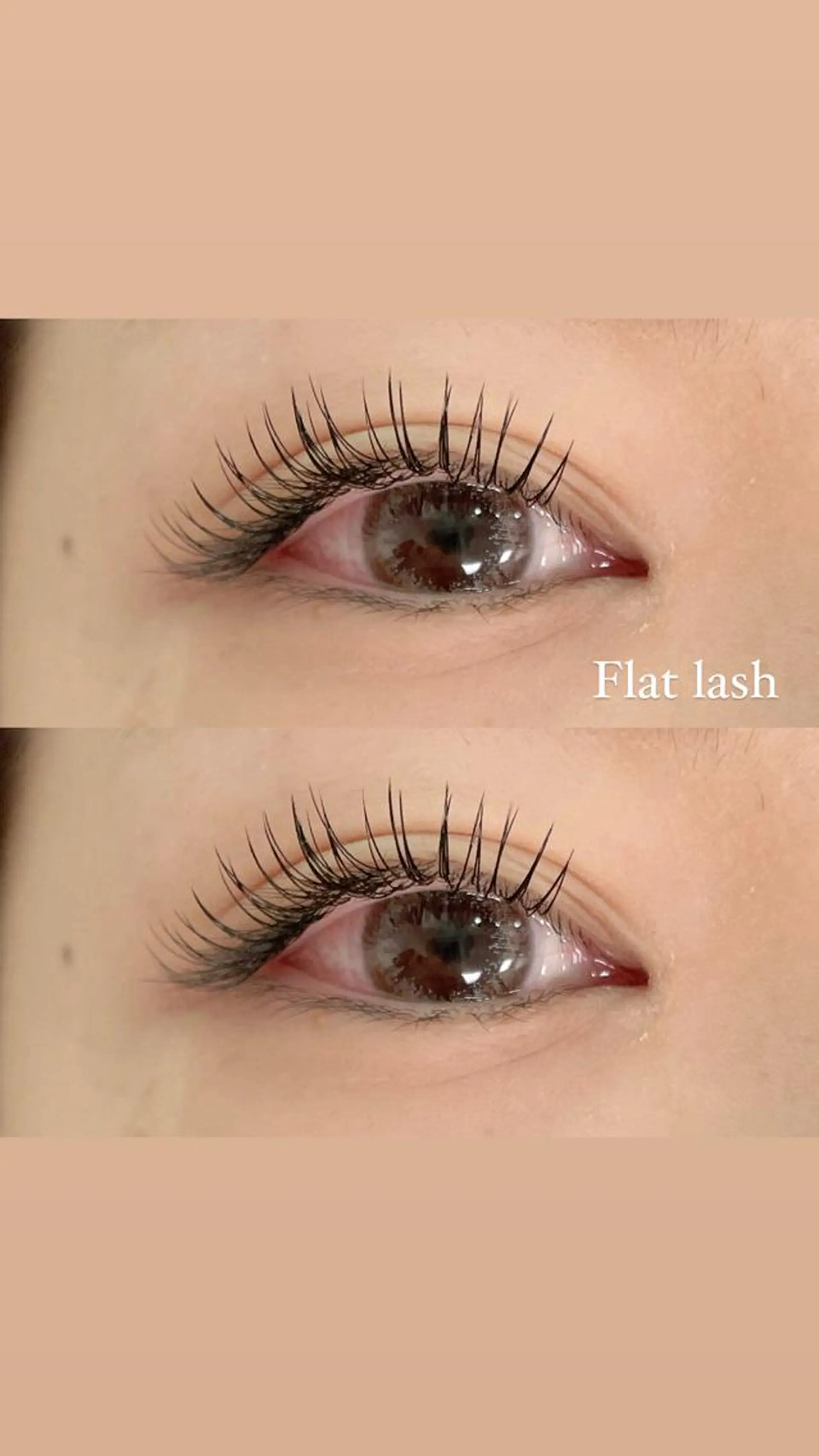 マツエク・マツパ フラットラッシュ マツエク パリジェンヌ/美眉 OLIVIA加藤のマツエク・マツパデザイン