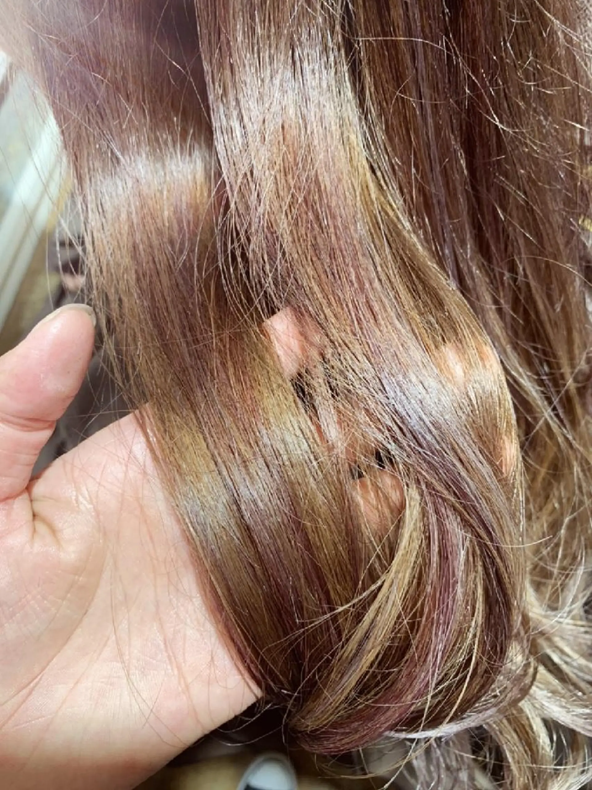 カラー レッドカラー 【平日のみ受付】河村 優佑のヘアスタイル