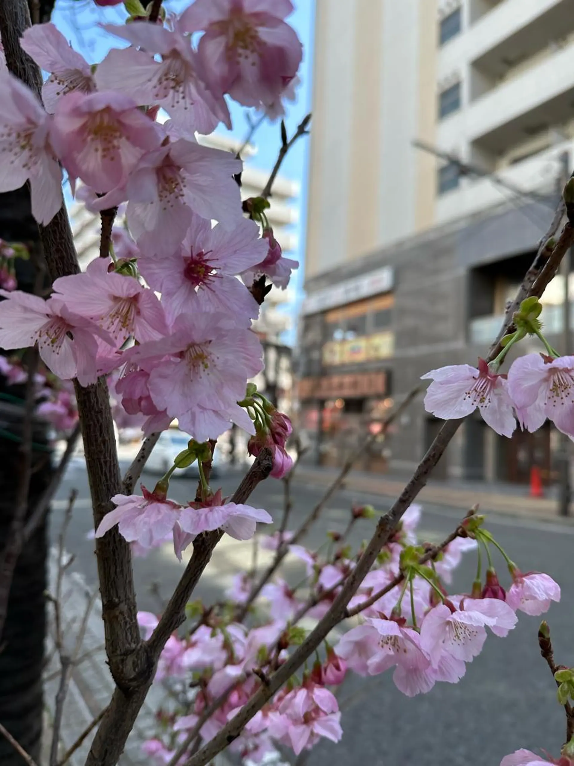 脱毛 【都度払い脱毛】 RE:  桜木町店のエステ・リラクイメージ