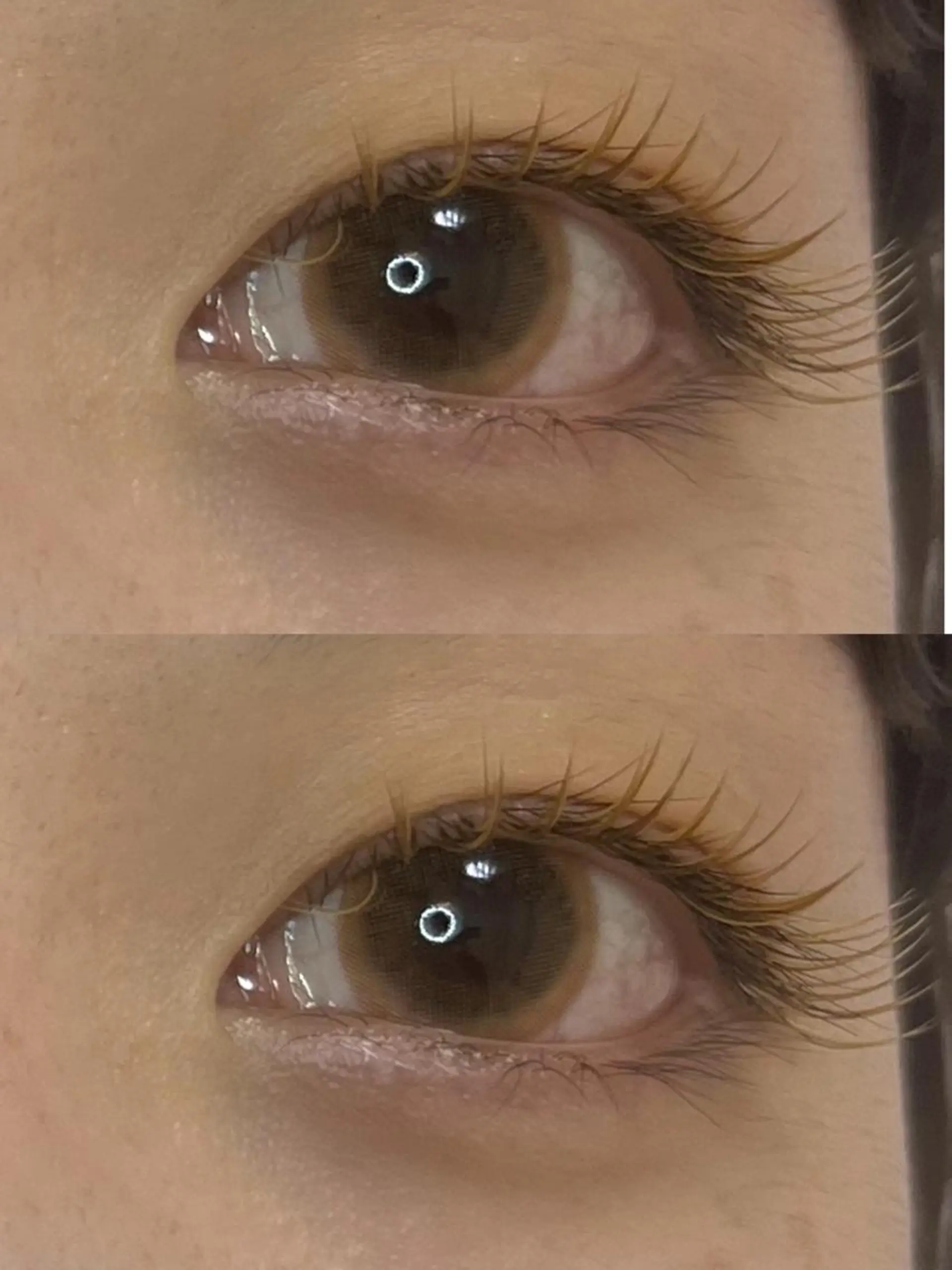 マツエク・マツパ equal静岡店🫧 まつげパーマ/眉毛のマツエク・マツパデザイン