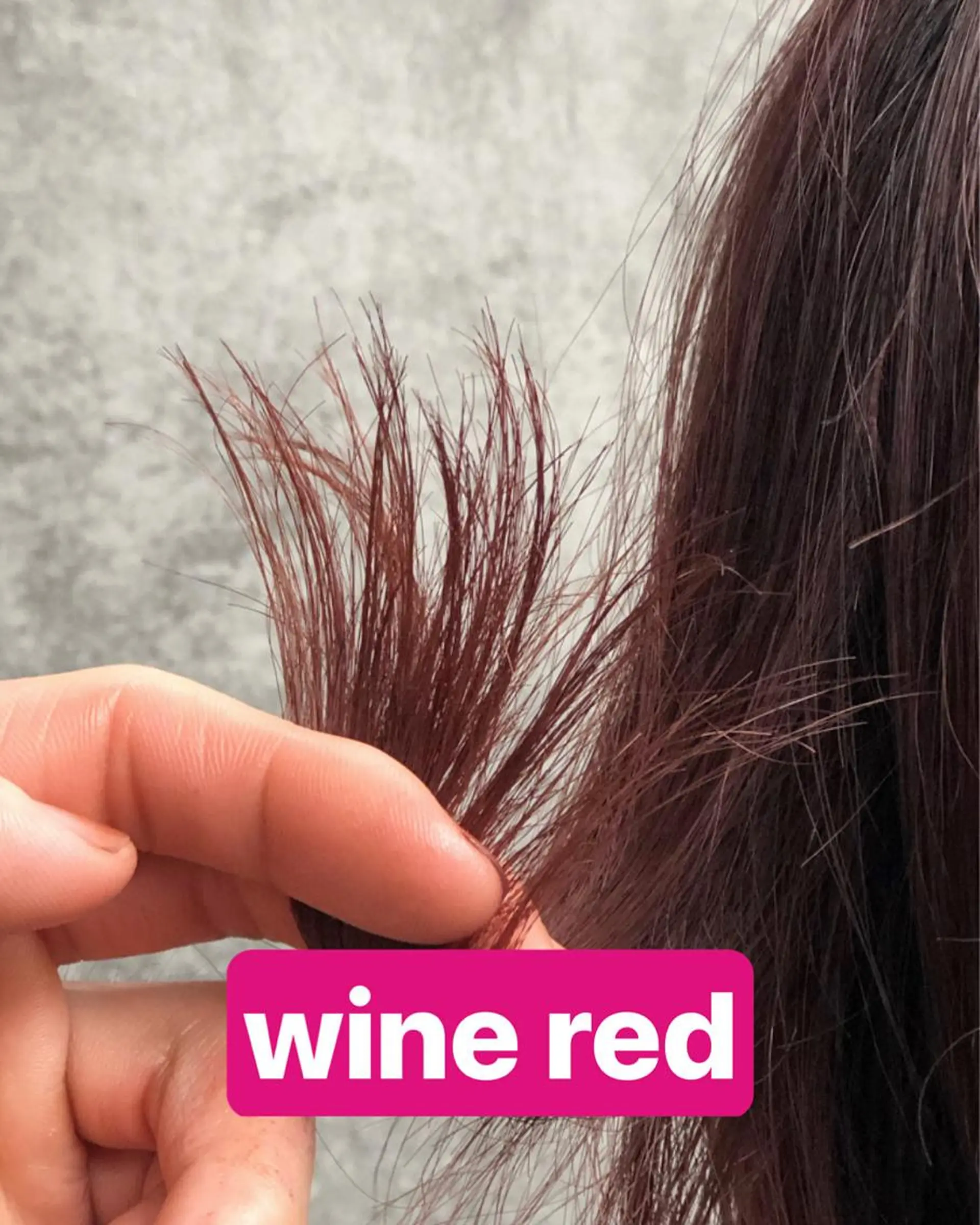 カラー 🎨ショートの神様 /神評価🎨原田公祐のヘアスタイル