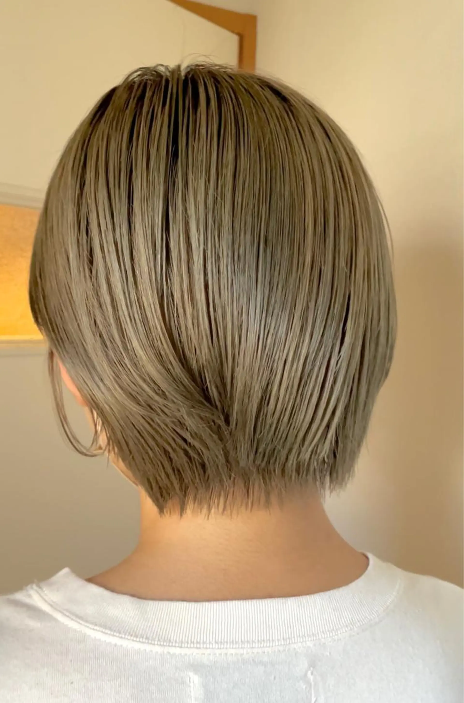 ショート カラー ベージュカラー 吉田 浩太郎のヘアスタイル