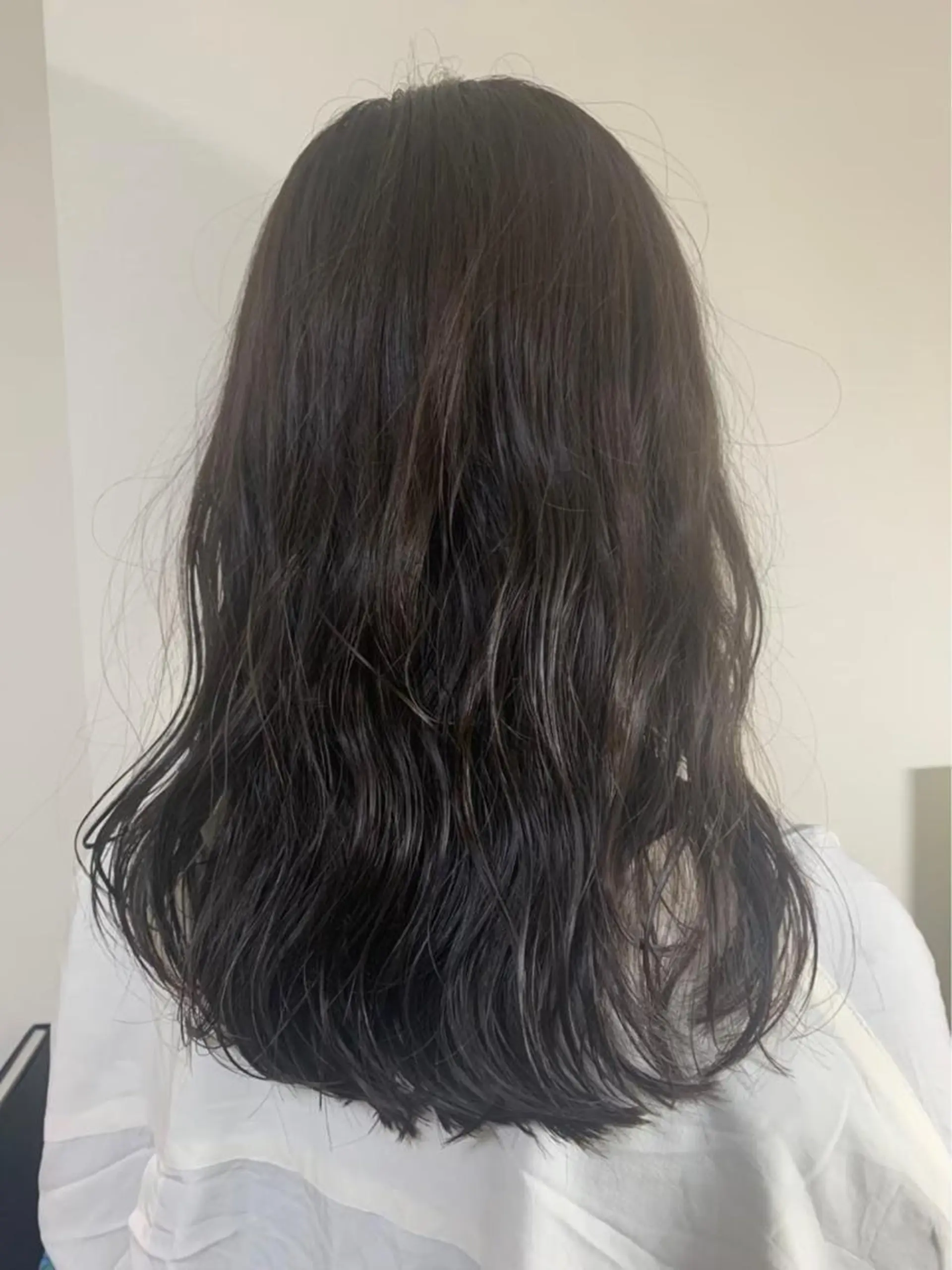 ロング ナチュラルカラー /カット/藤井美冬のヘアスタイル