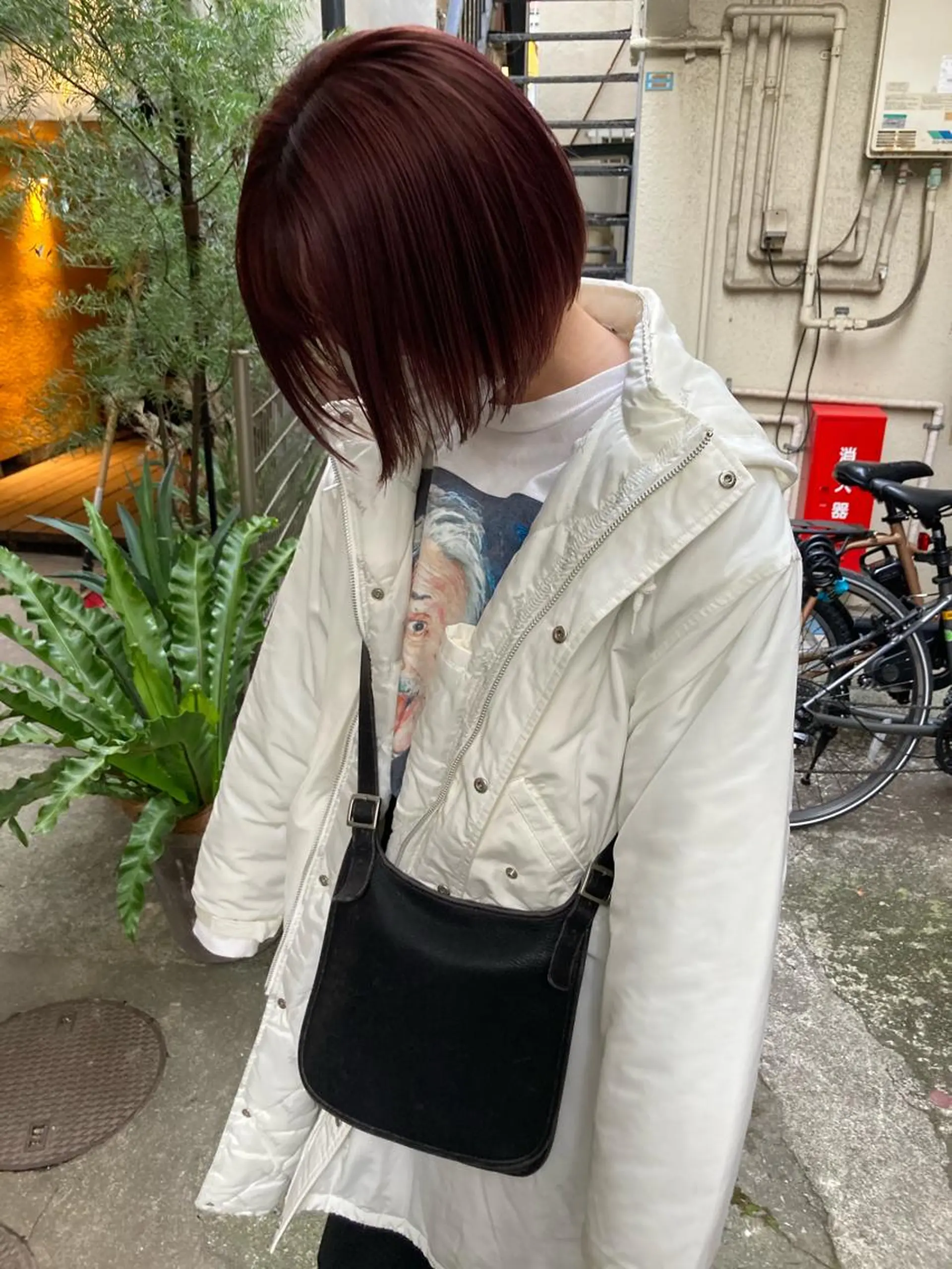 ショート 金田 夏野のヘアスタイル