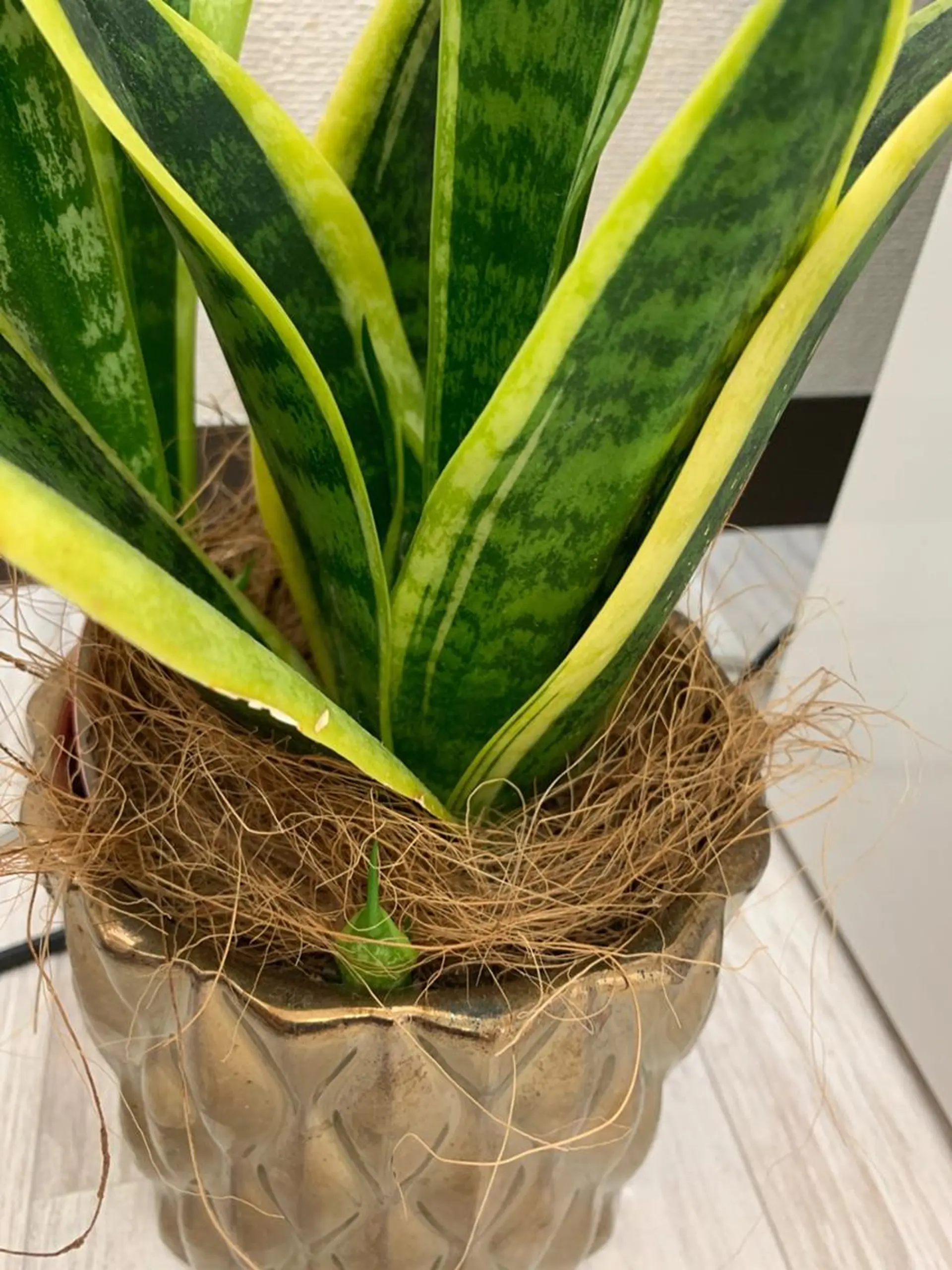 LOVE ホワイトニング下北沢のエステ・リラクイメージ