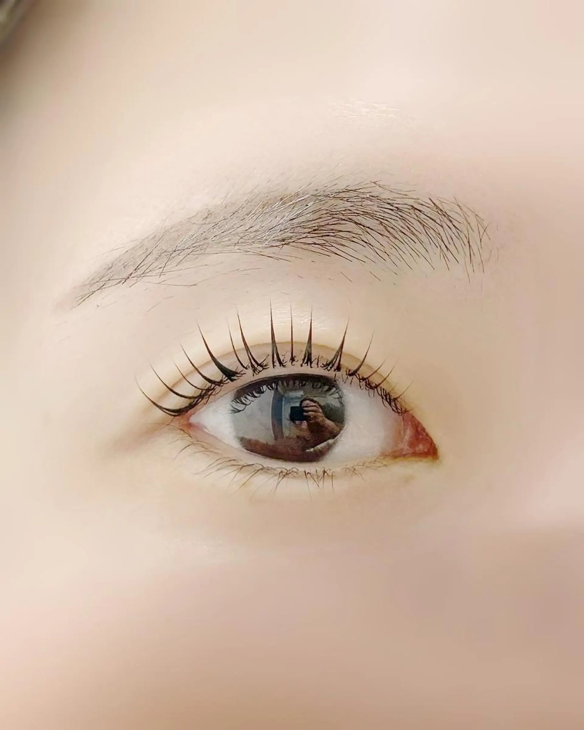 マツエク・マツパ マツパ lieu pré eyelashの眉毛・アイブロウイメージ