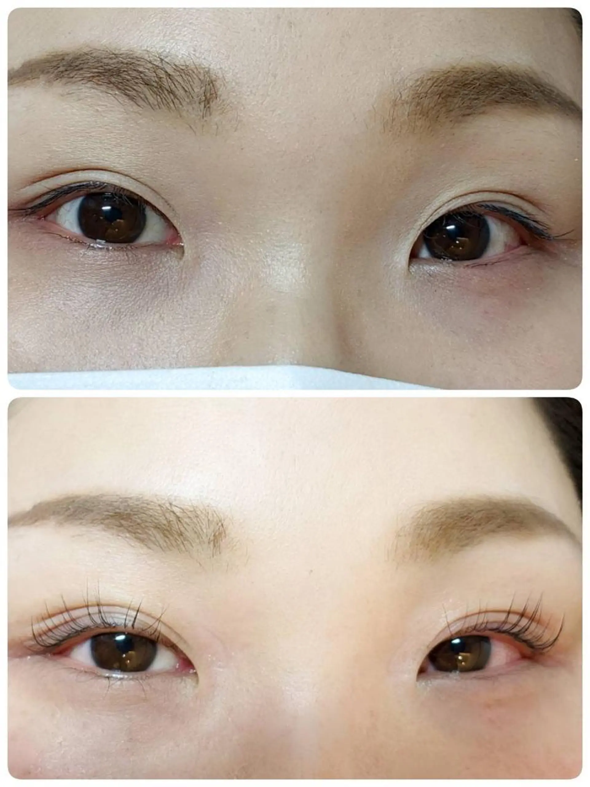 マツエク・マツパ パリジェンヌラッシュリフト ehl:fa Beautyのマツエク・マツパデザイン