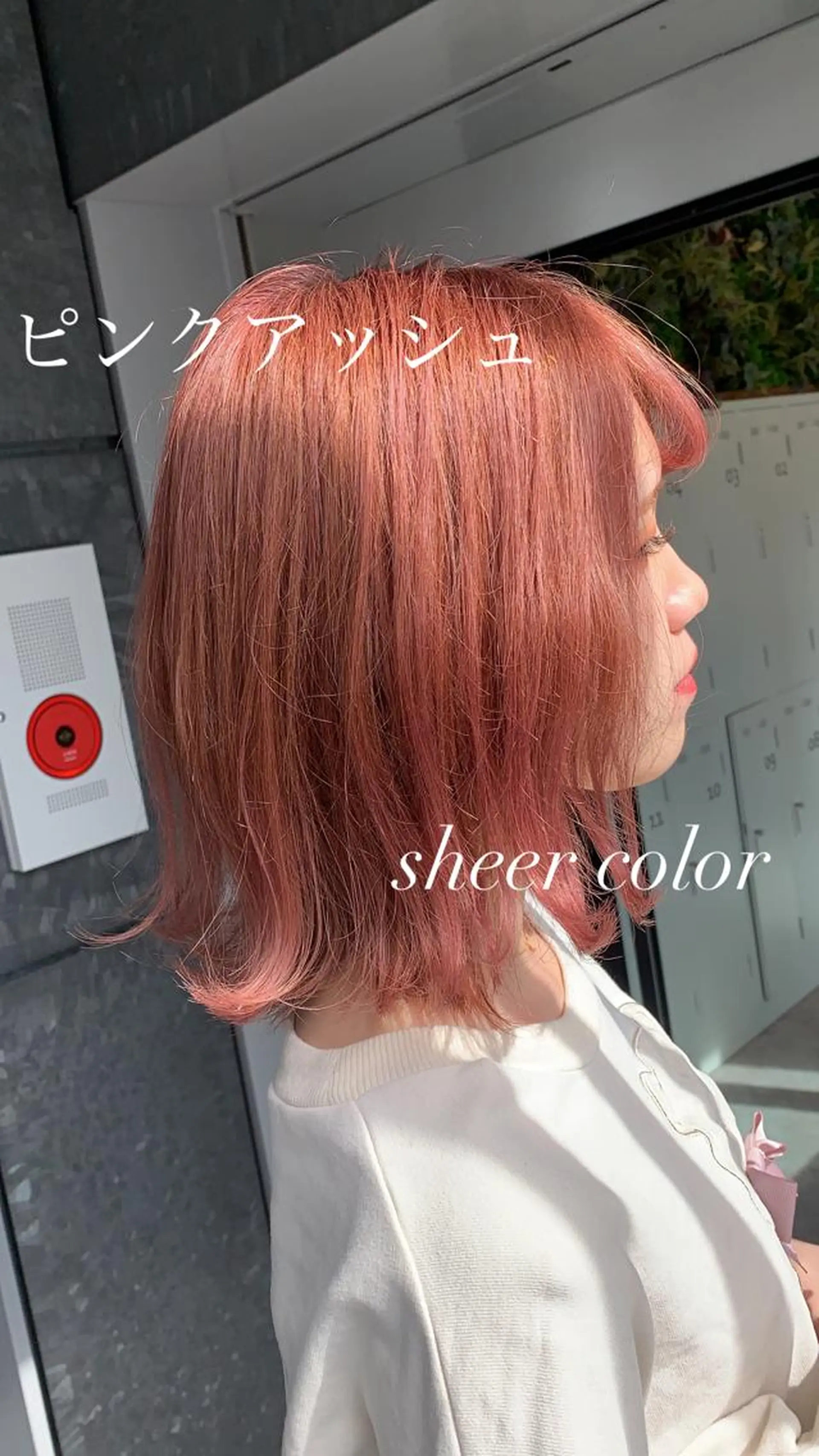 ミディアム カラー アッシュ ピンクカラー ピンクアッシュ 髪質改善/白髪ぼかし KENTAのヘアスタイル