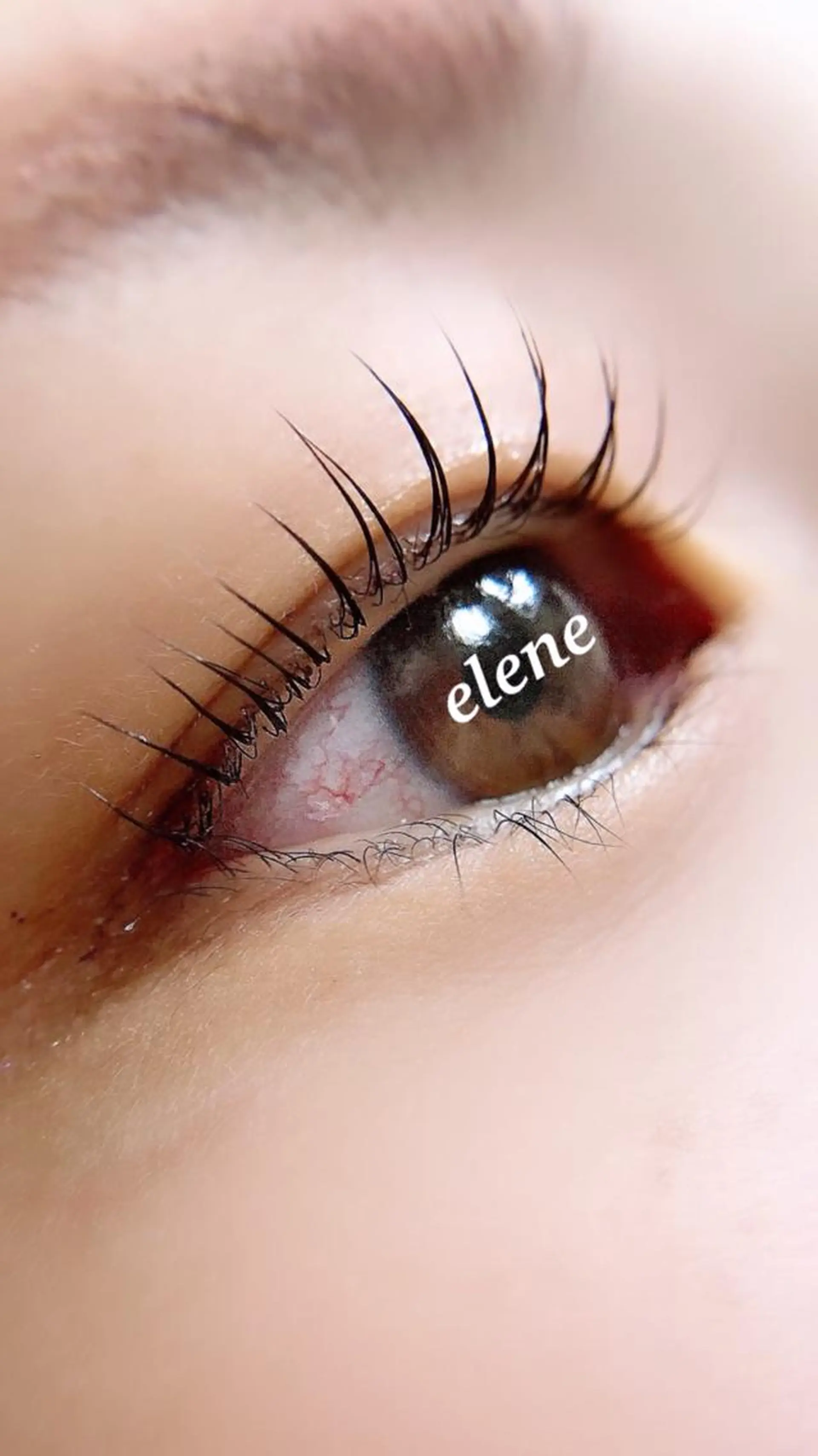 マツエク・マツパ Elene ˚✧₊東広島のマツエク・マツパデザイン