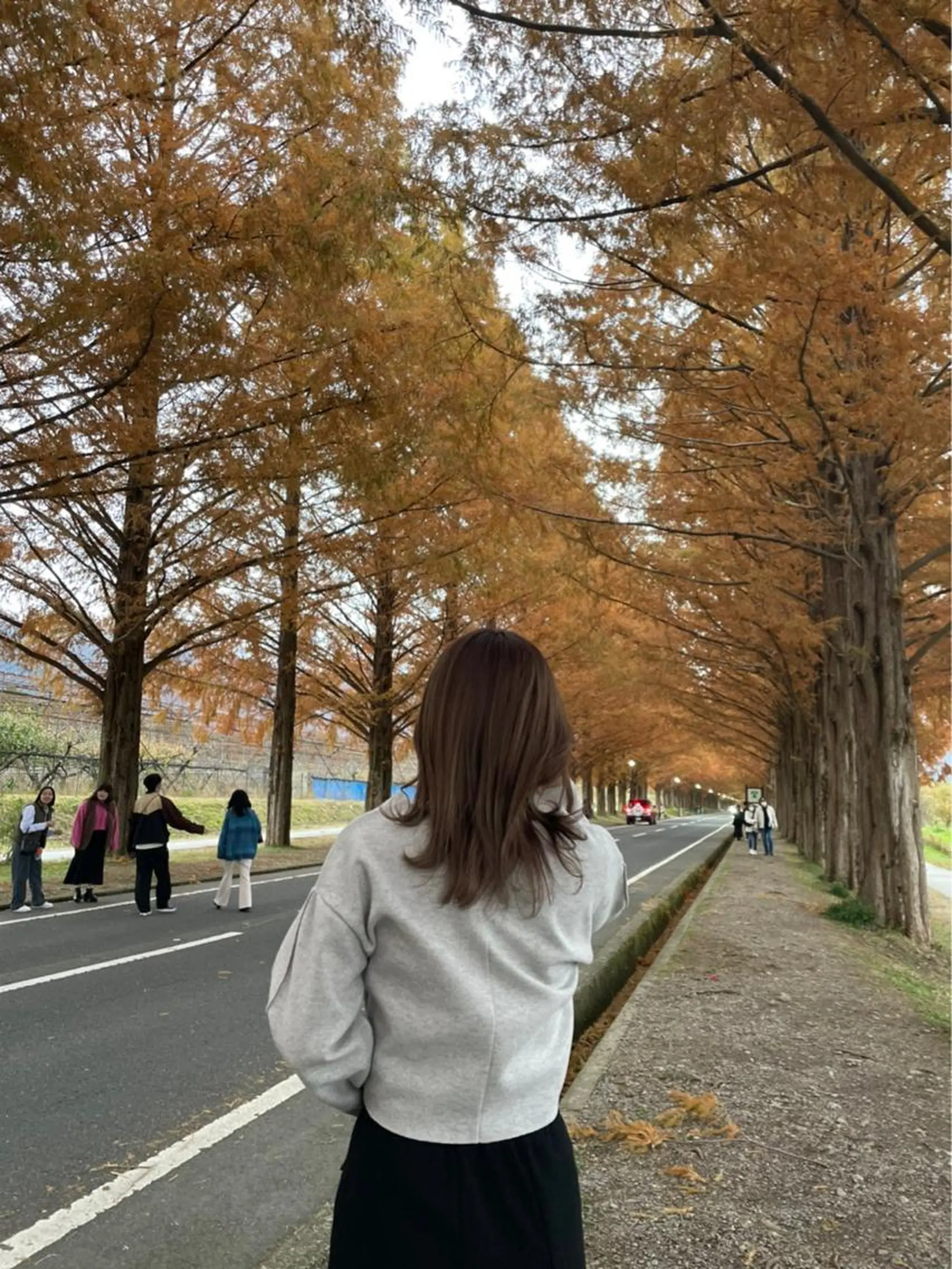 セミロング カラー 透明感カラー/顔周り レイヤー/髪質改善のヘアスタイル