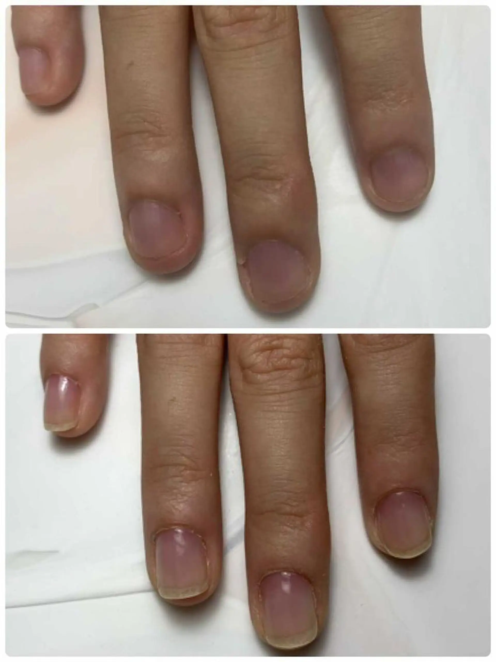 ネイル Sakurai Satomiのマツエク・マツパデザイン