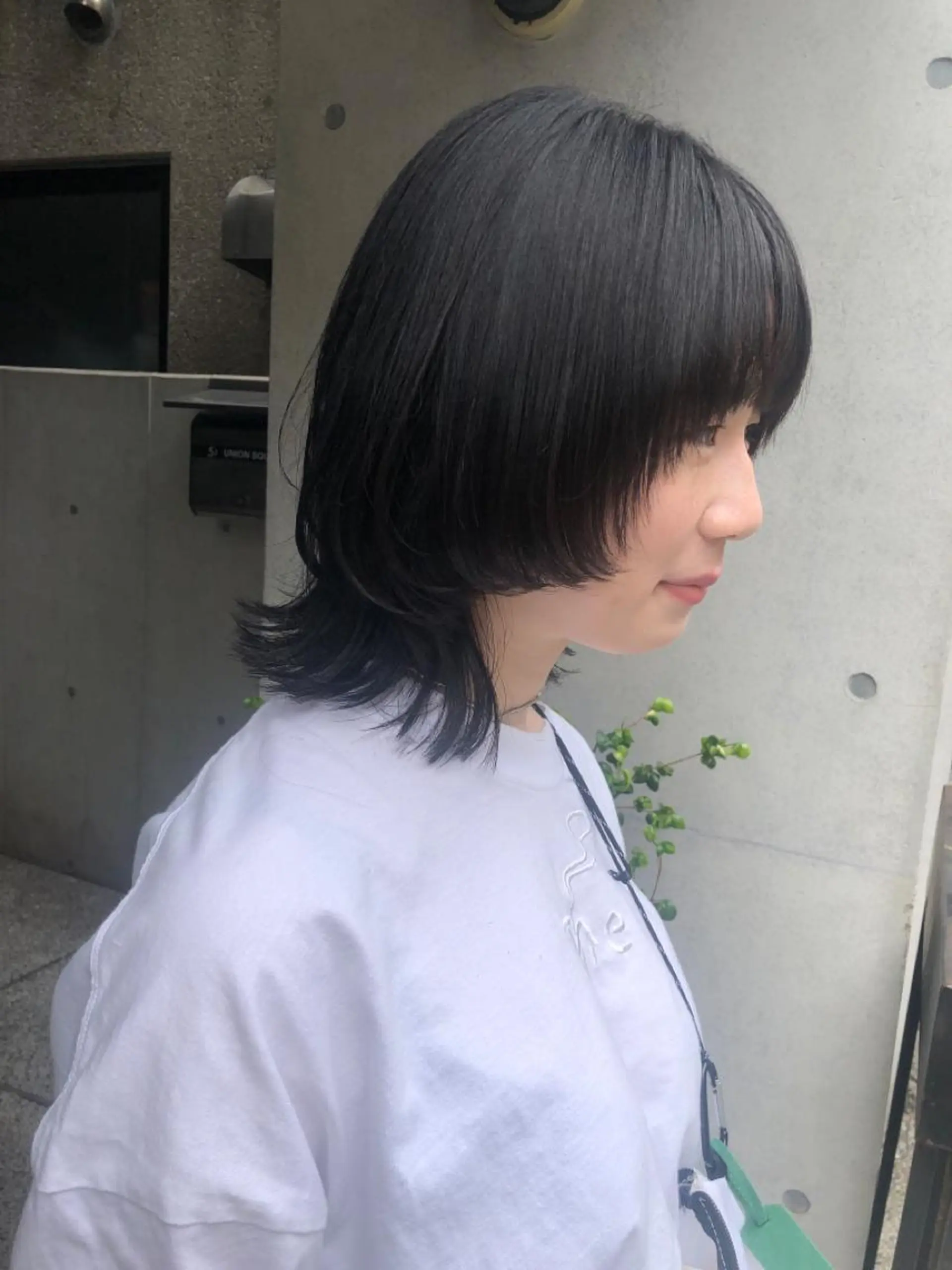 ミディアム レイヤーカット ウルフカット ウルフレイヤー カット stylist 杉浦駿生のヘアスタイル