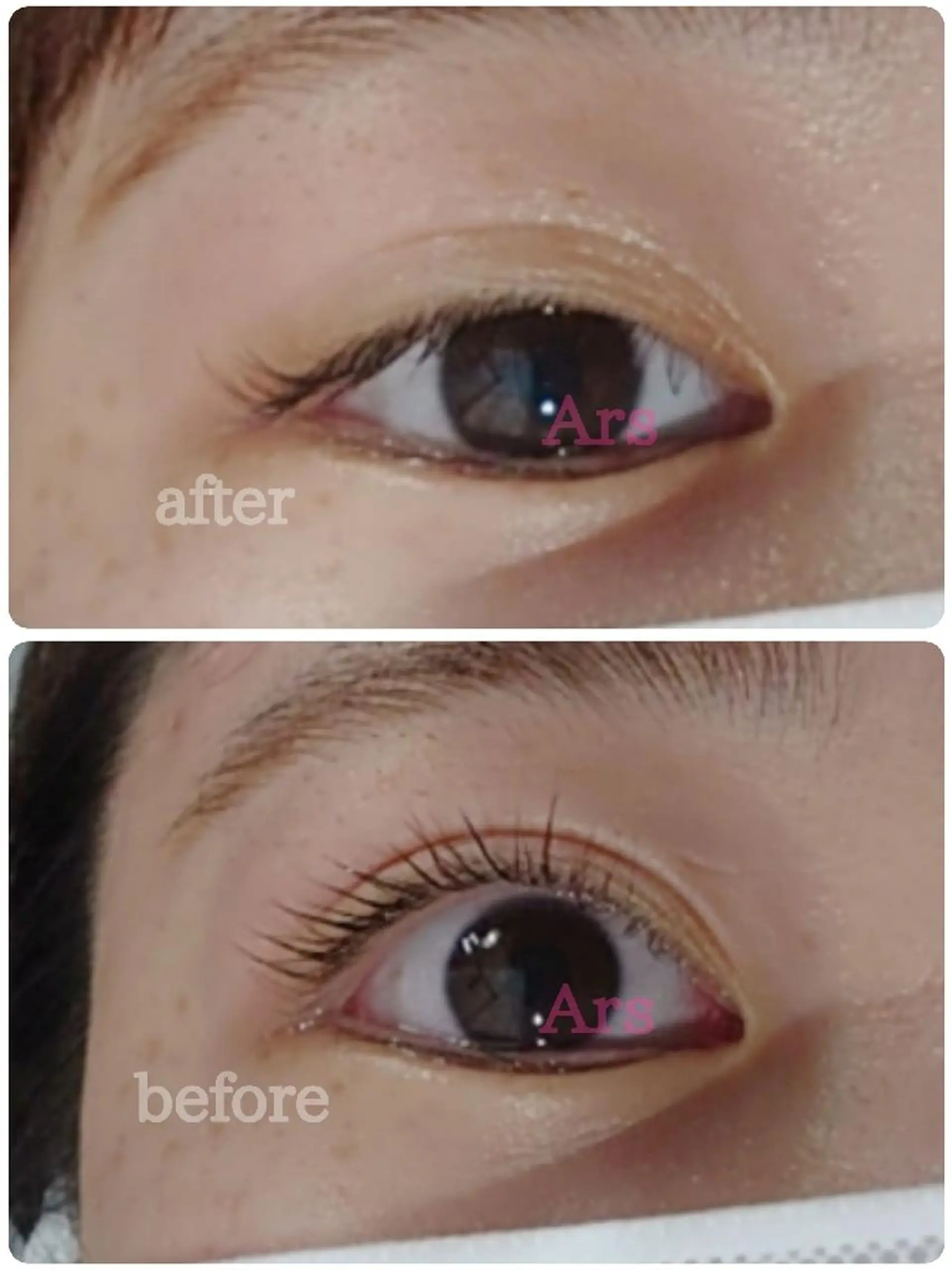 マツエク・マツパ アイリッドアップパーマ Ars      (ｱﾙｽ)のマツエク・マツパデザイン