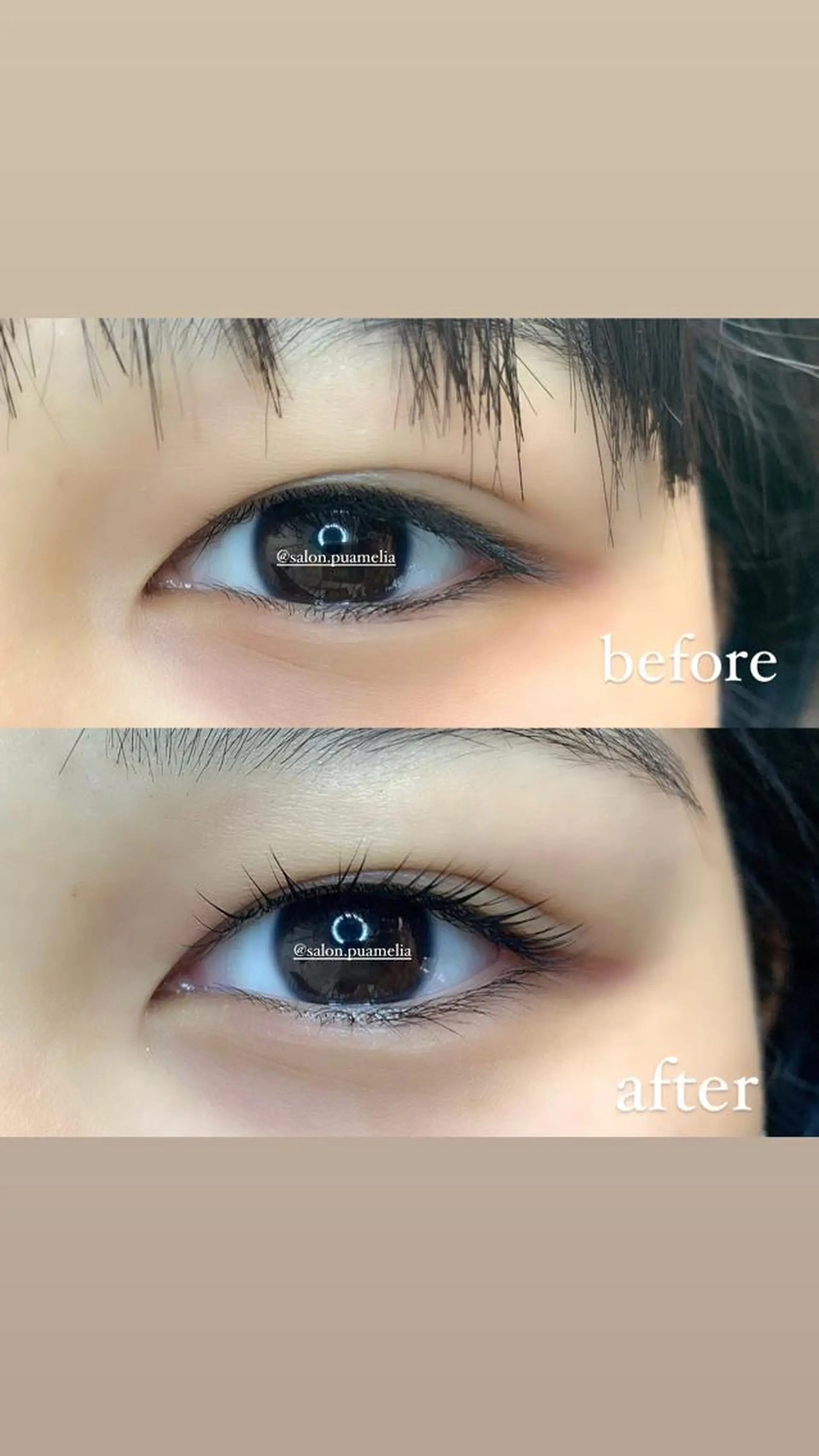 マツエク・マツパ マツパ Pua Meliaのマツエク・マツパデザイン