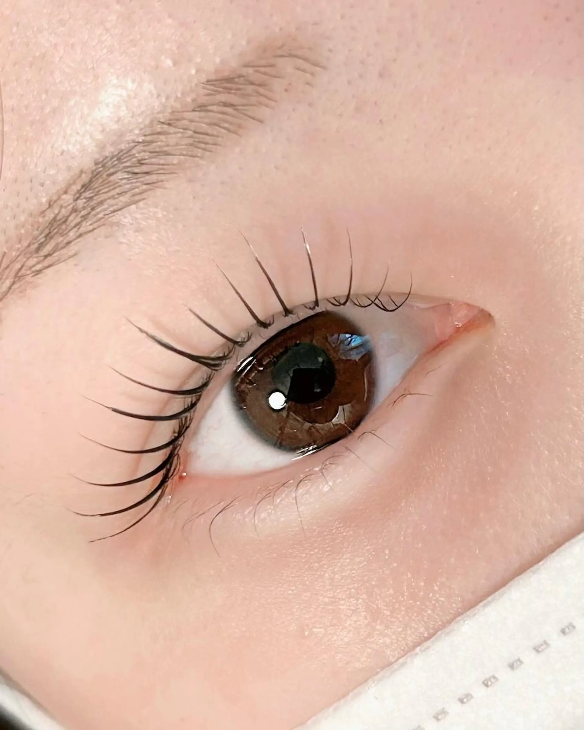 マツエク・マツパ マツパ lieu pré eyelashの眉毛・アイブロウイメージ